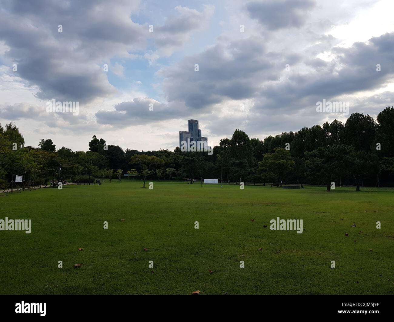 A scenic view of a park with lush green trees and a modern tall ...