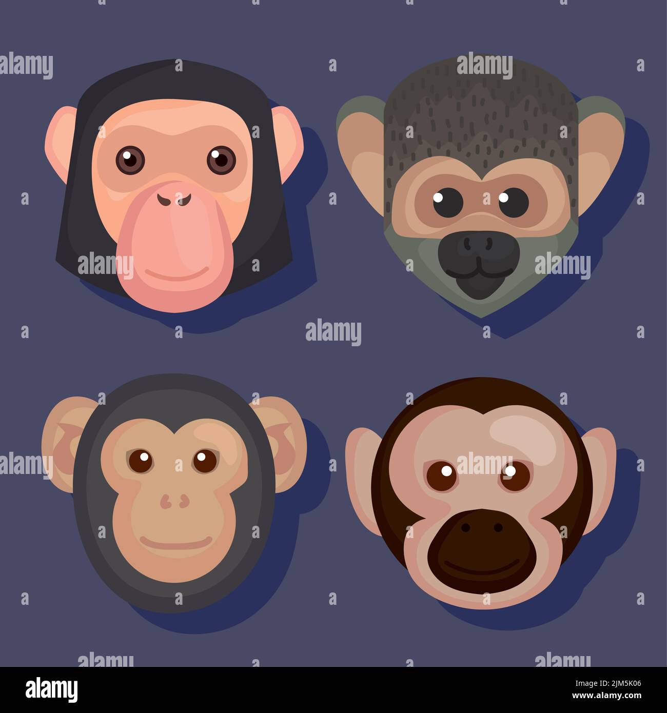 four monkey animals heads Stock Vector Image & Art Alamy