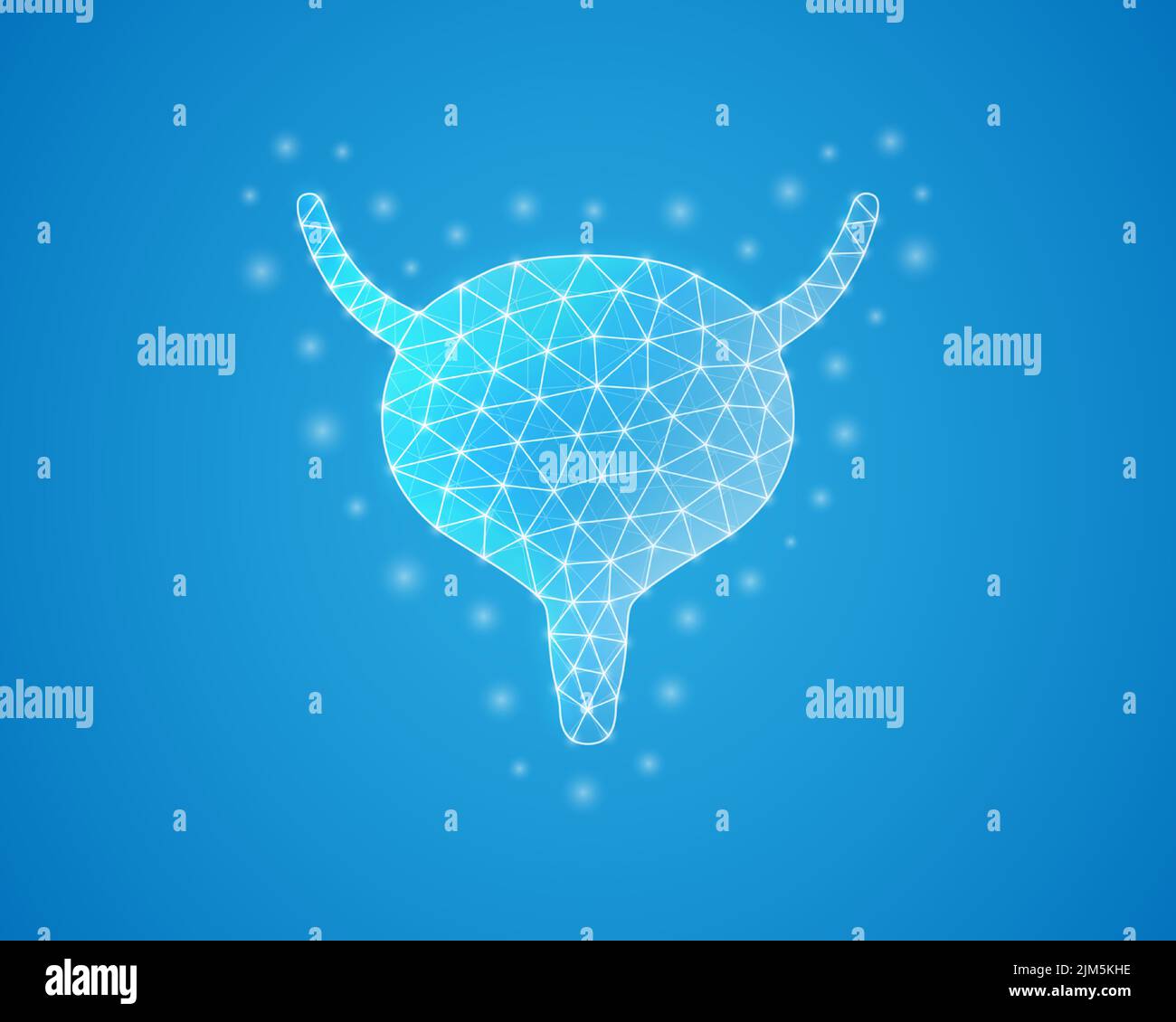 Bladder low poly symbol with white connected dots. 3d geometric ...