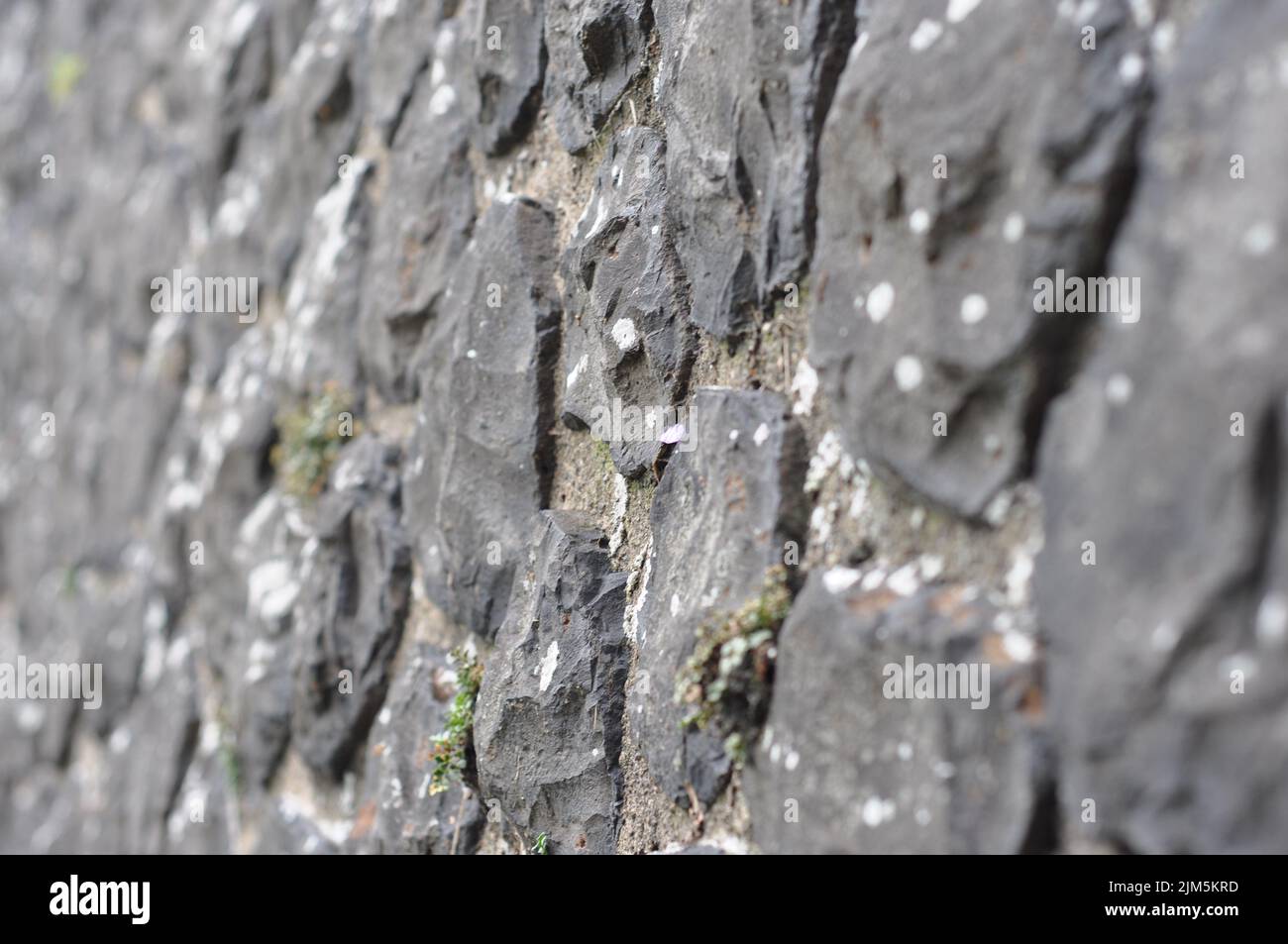 A closeup shot of a stone quay wall texture with grass pieces growing from between the stones Stock Photo