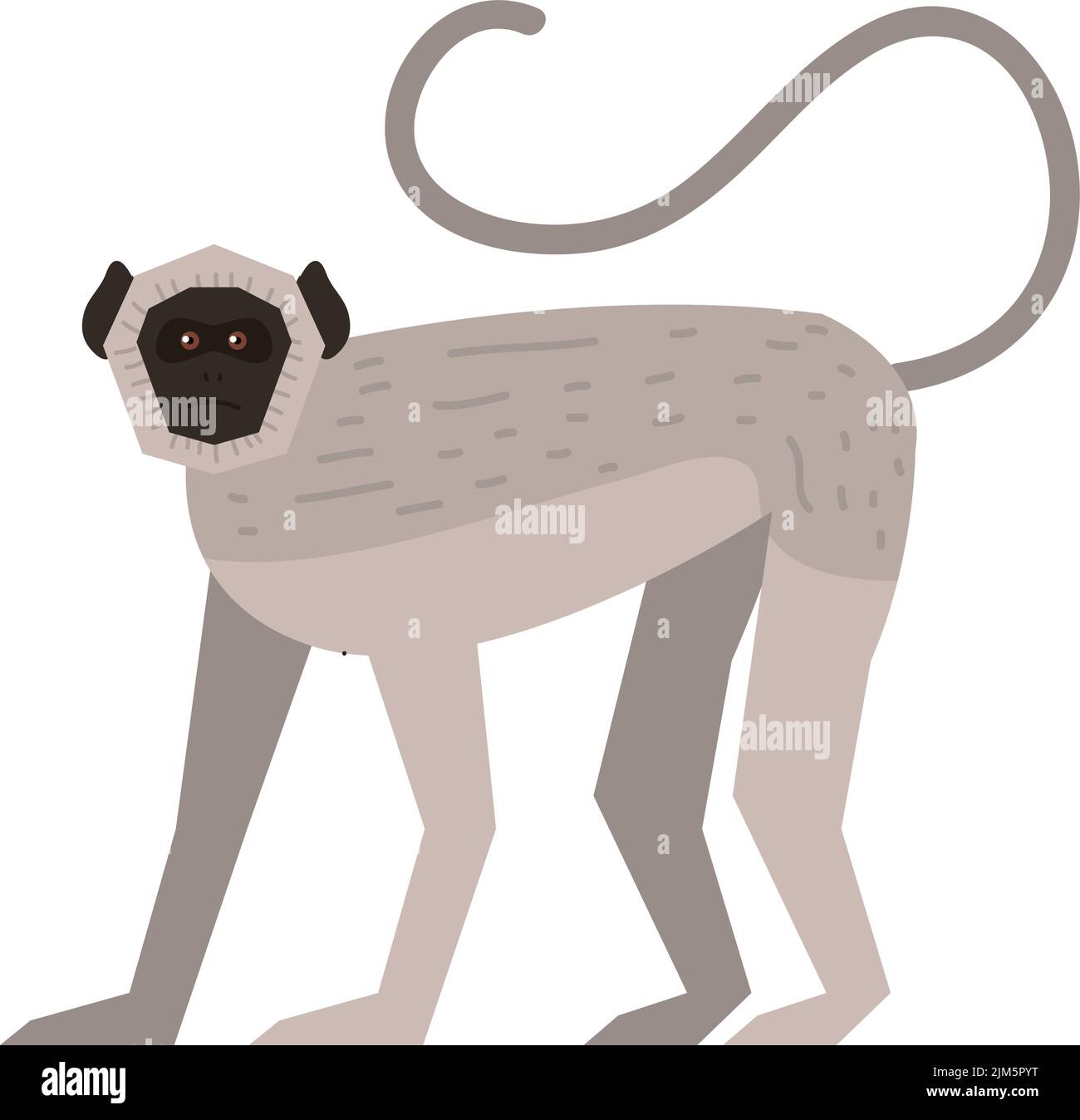 spider monkey animal Stock Vector Image & Art - Alamy