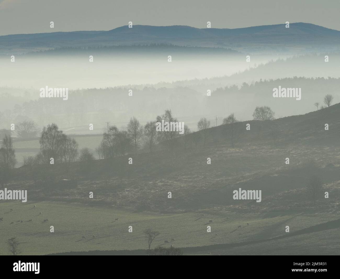 veil of mist as cloud inversion outlines trees in valley below Northern Pennines on still frosty morning of low Winter sunshine - Cumbria,England,UK Stock Photo