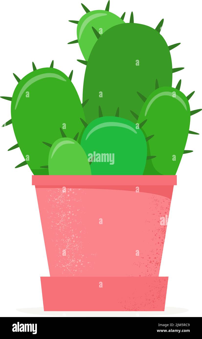 Cactus in a flat style. Home cacti in flower pot. House succulent