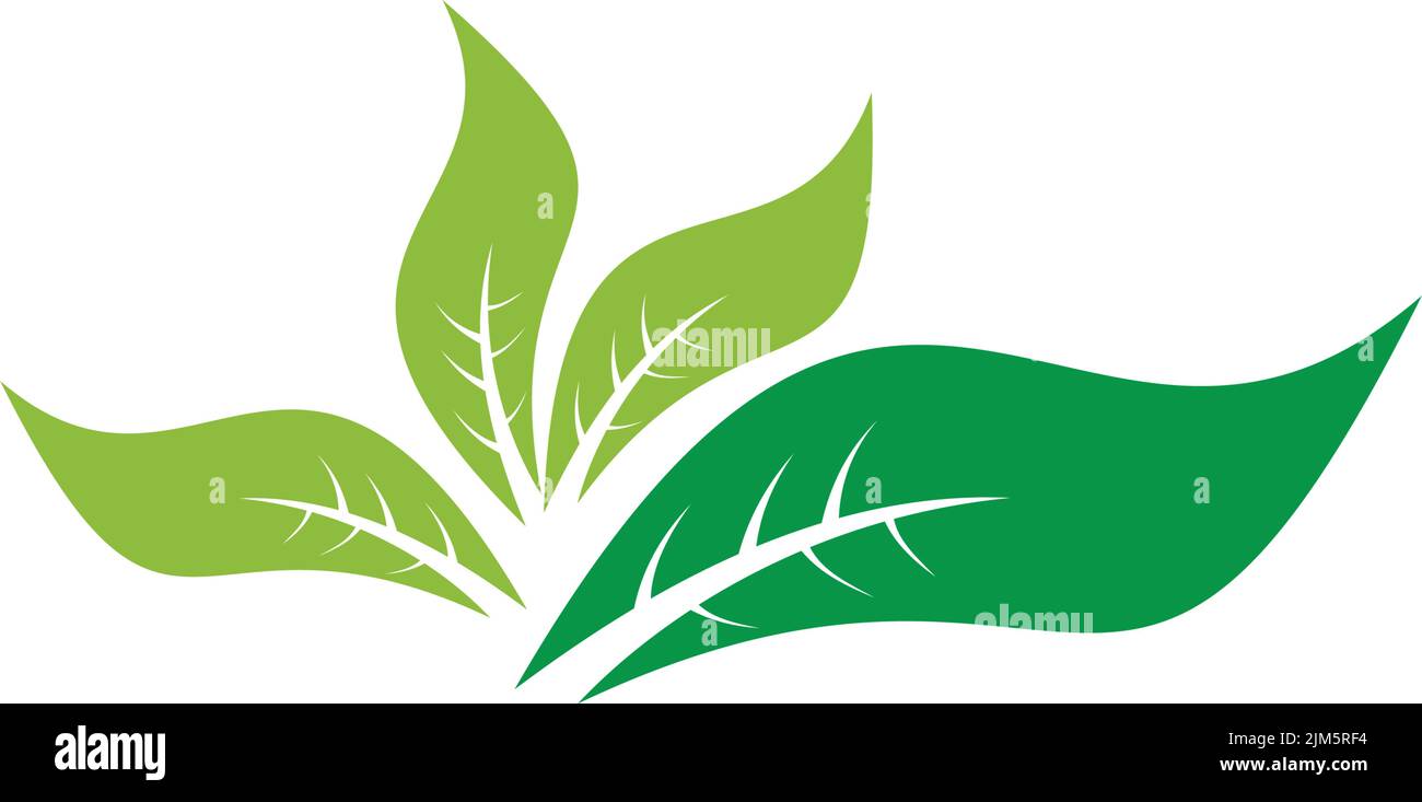 Leaf icon logo design inspiration vector template Stock Vector Image ...