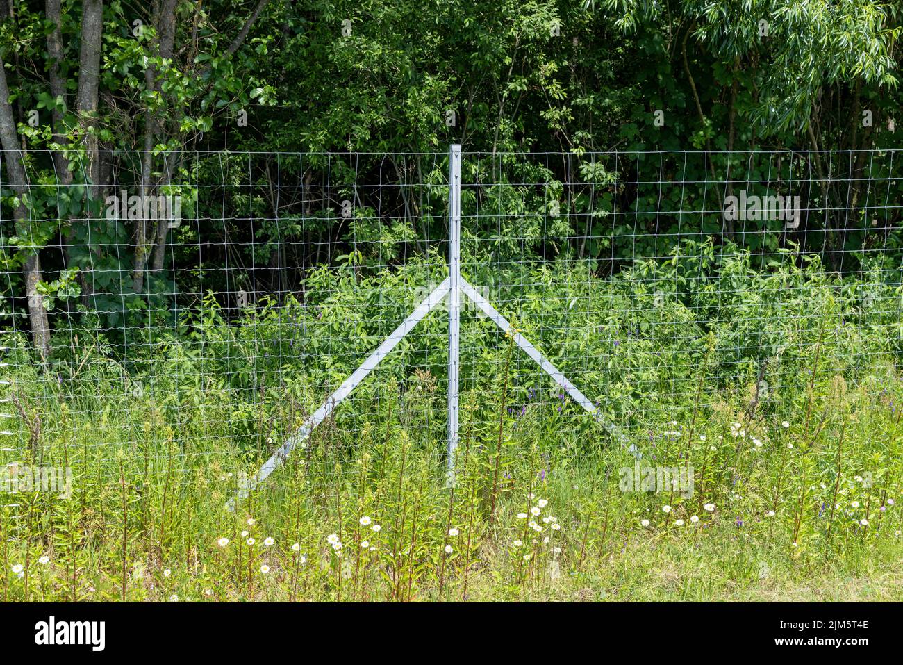 Metal fences for animal protection Stock Photo
