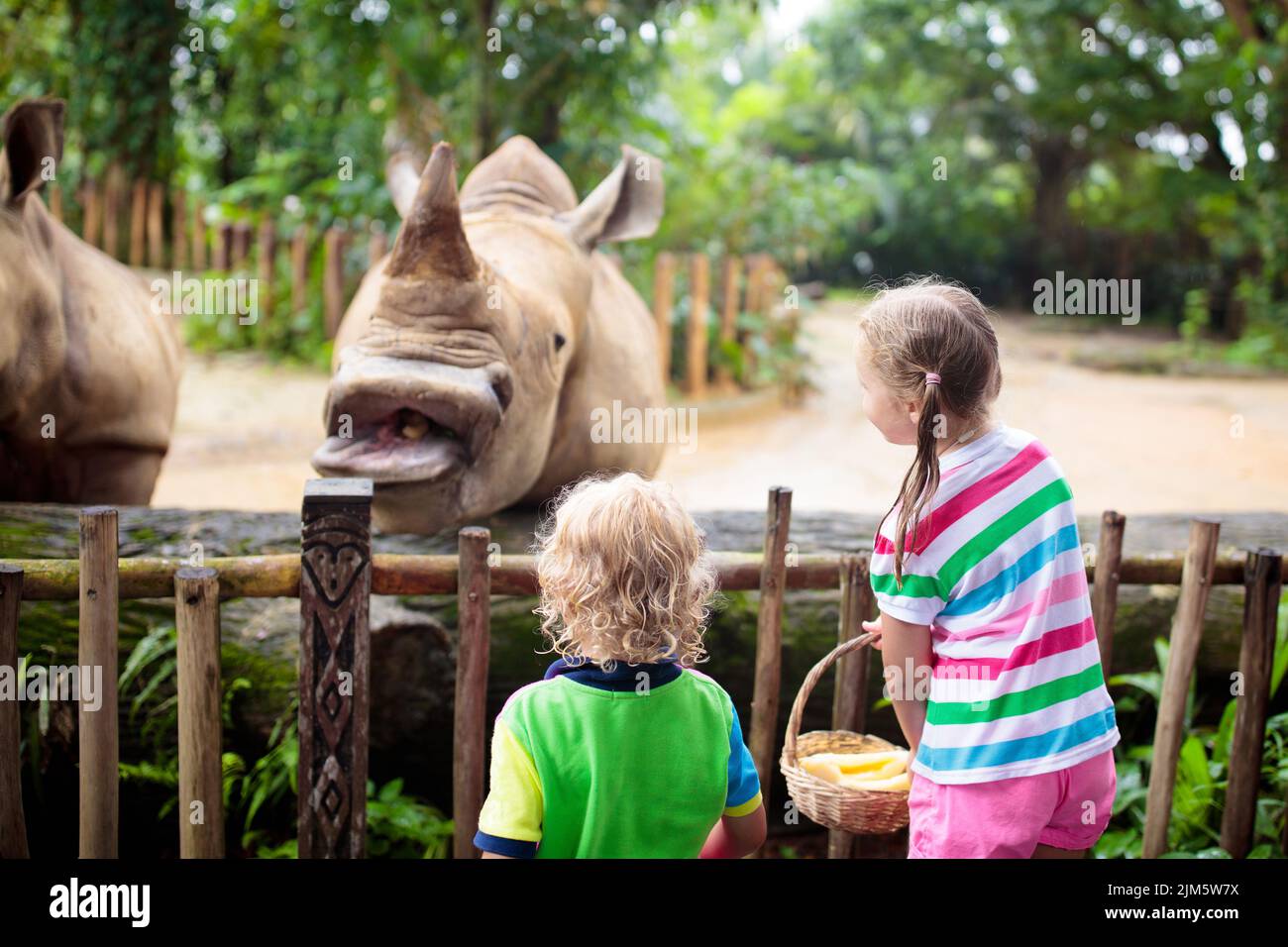 Family feeding rhino in zoo. Children feed rhinoceros in tropical ...