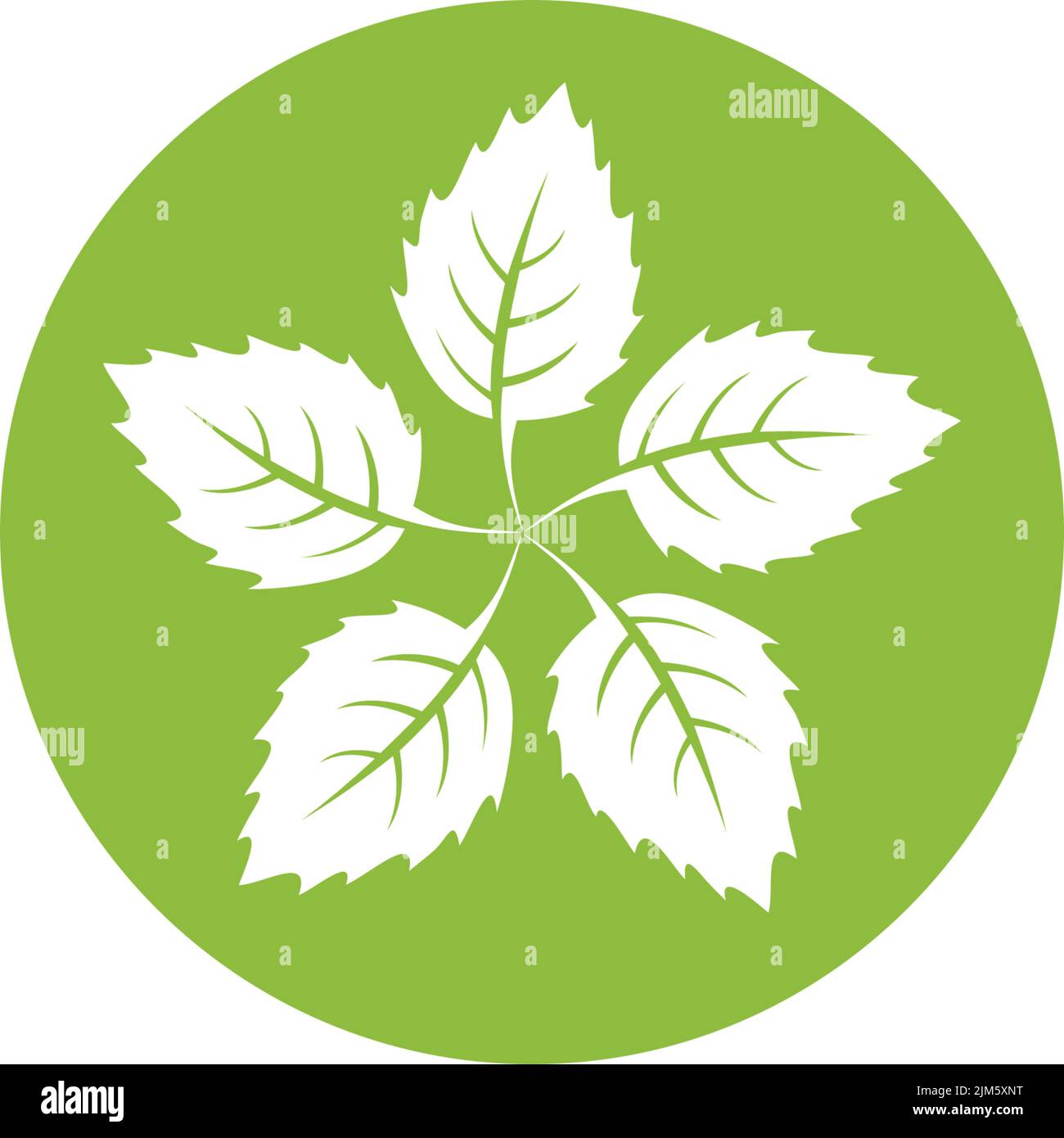 Leaf icon logo design inspiration vector template Stock Vector Image ...