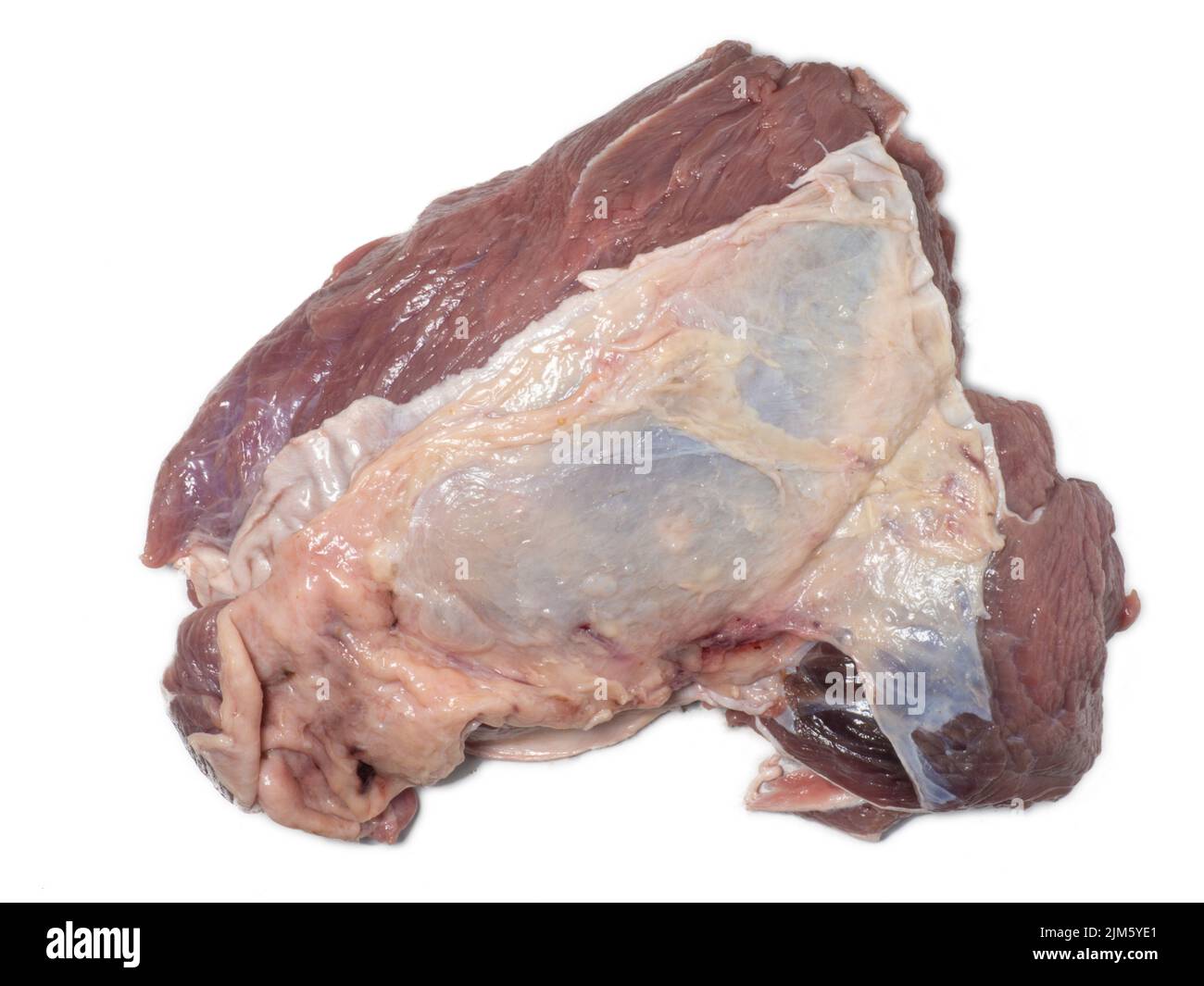 A piece of raw beef on a white background. Juicy meat with veins. Unprepared product. Beef isolate. An ingredient for a hearty meal. Cooking Stock Photo