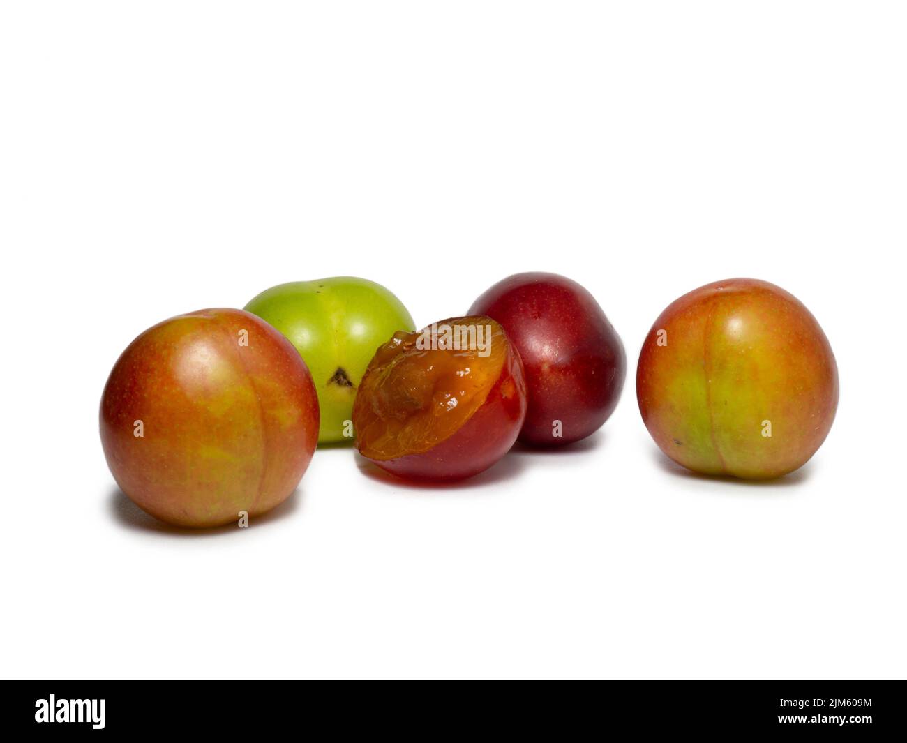 Cherry plum at different stages of maturation. Plum variety. Red and