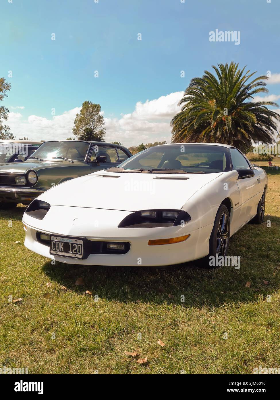 Old white sport Chevrolet Camaro coupe 1990s by GM in the countryside. Nature, grass, trees. Classic muscle car. Copyspace. Stock Photo
