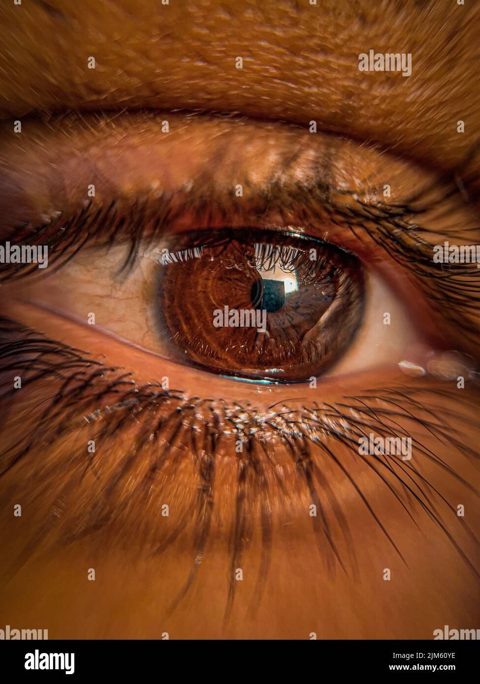 A vertical macro shot of details on a brown human eye Stock Photo - Alamy
