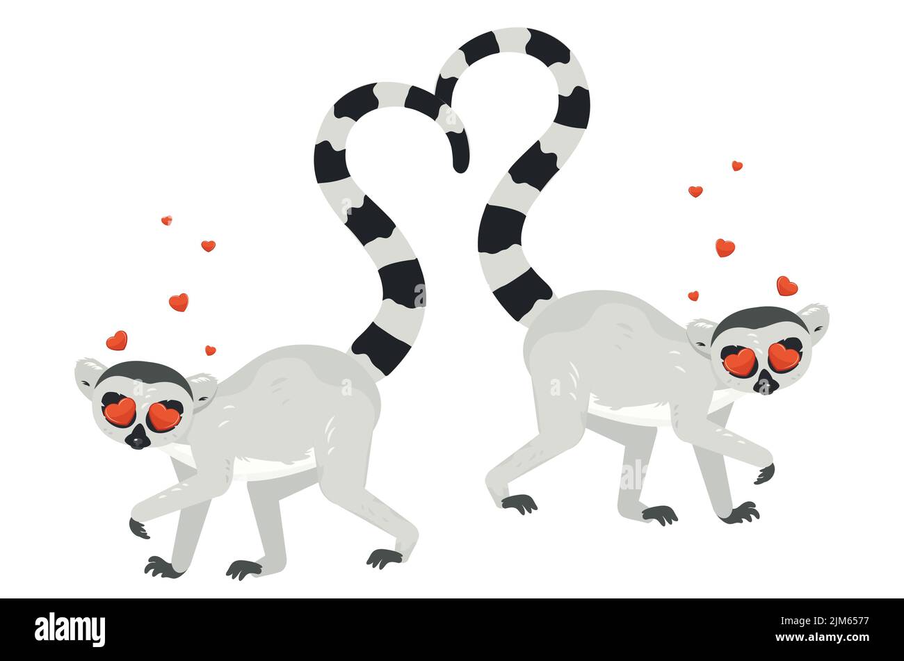 Cute cartoon gray lemur catta couple with big red heart illustration. Stock Vector
