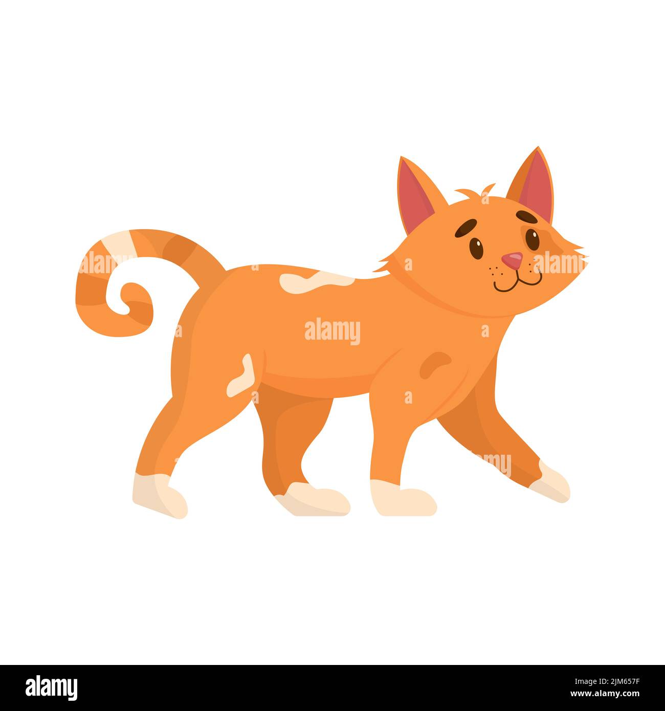 Cute cat. Domestic, funny cat isolated on white background. Flat vector ...