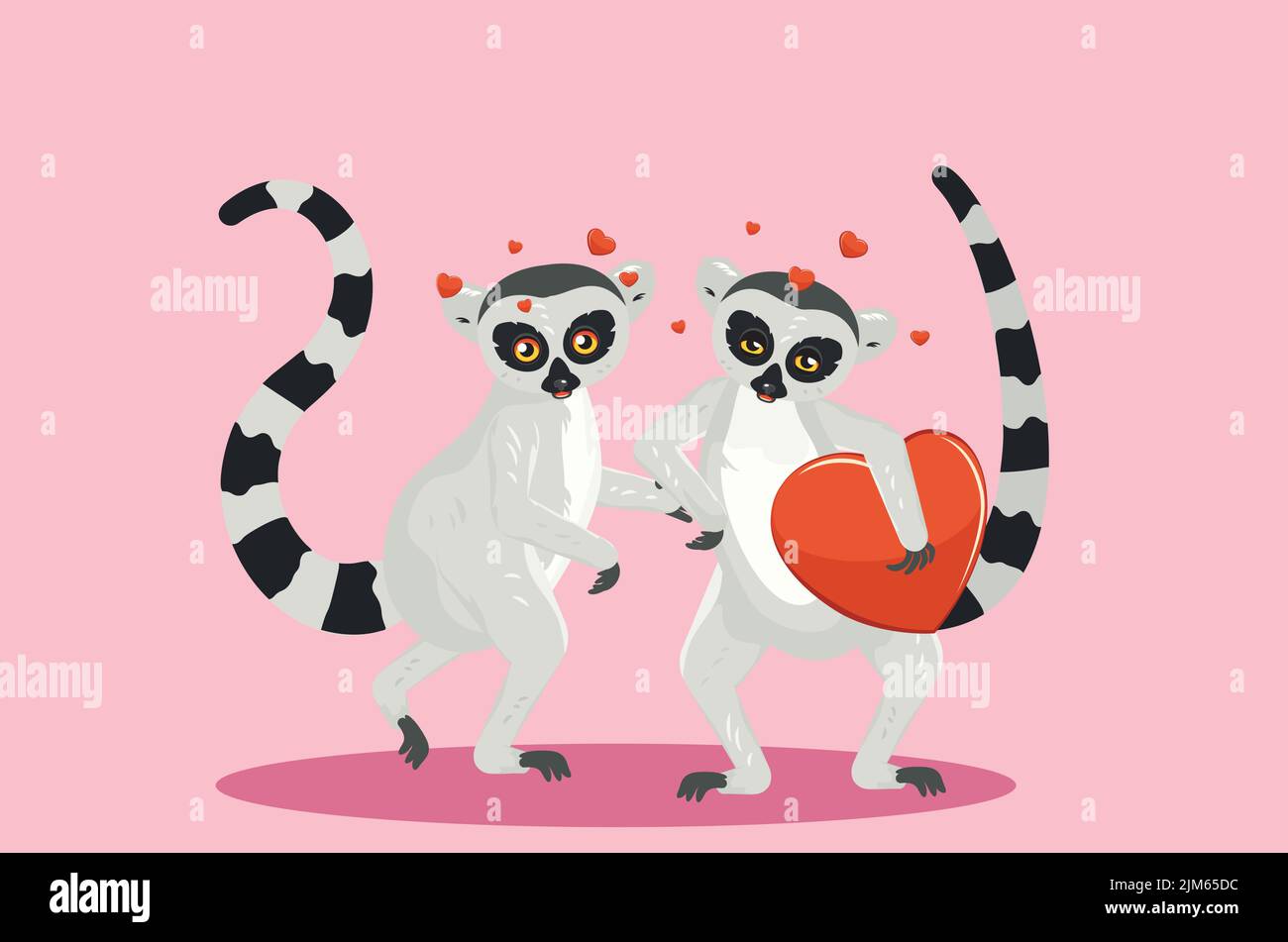 Cute cartoon gray lemur catta couple with big red heart illustration. Stock Vector