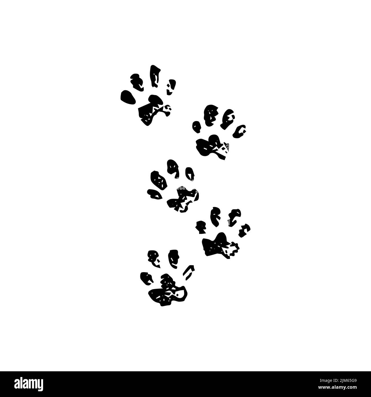 Animal Tracks Dotwork. Vector Illustration of Hand Drawn Objects. Stock Vector