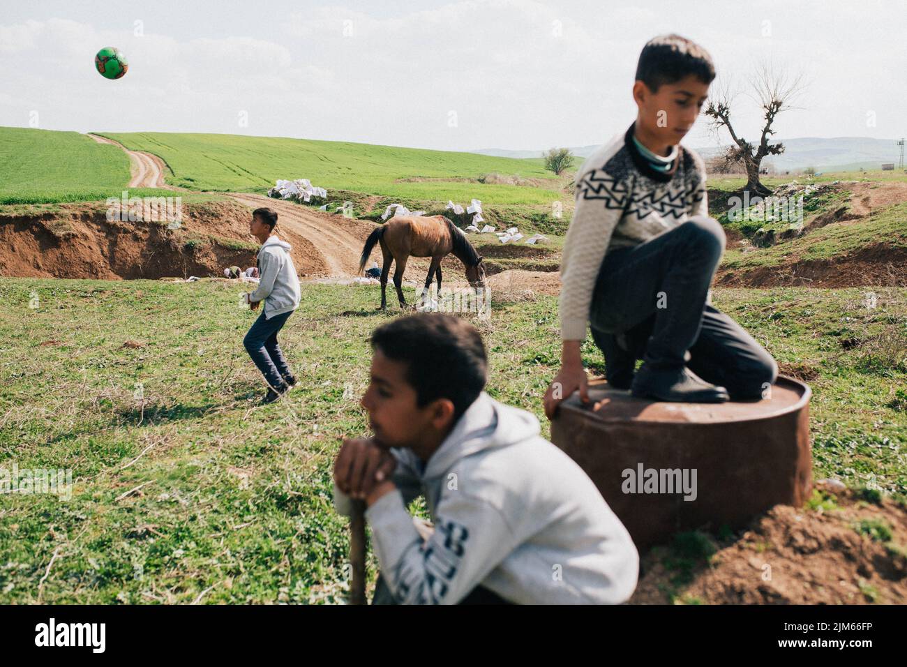A view of three young boys and a horse in a green rural area in Hatay Province, Turkey Stock Photo