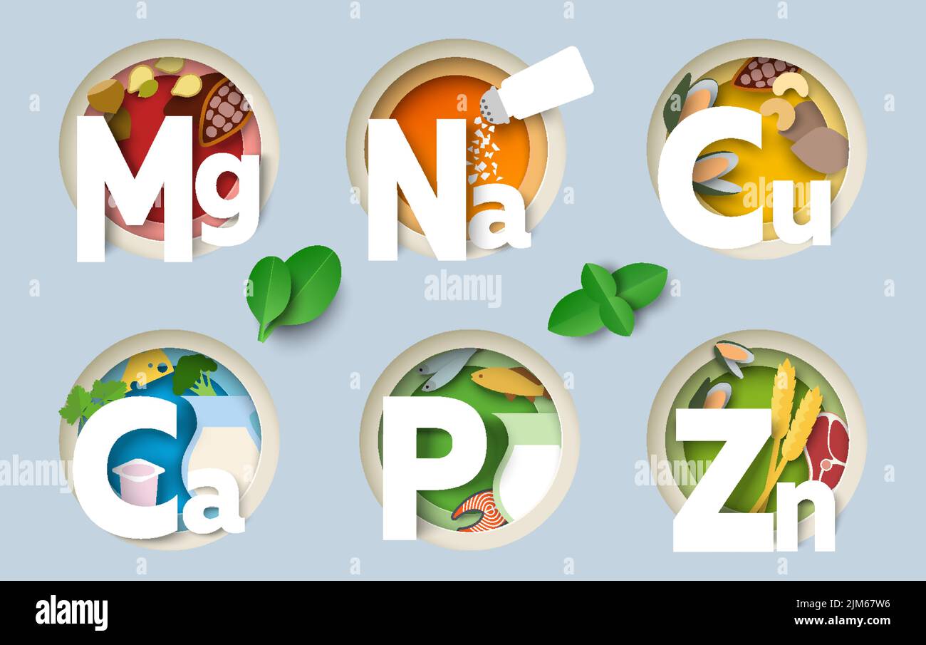 Nutrition minerals paper cut art style vector. Magnesium, sodium