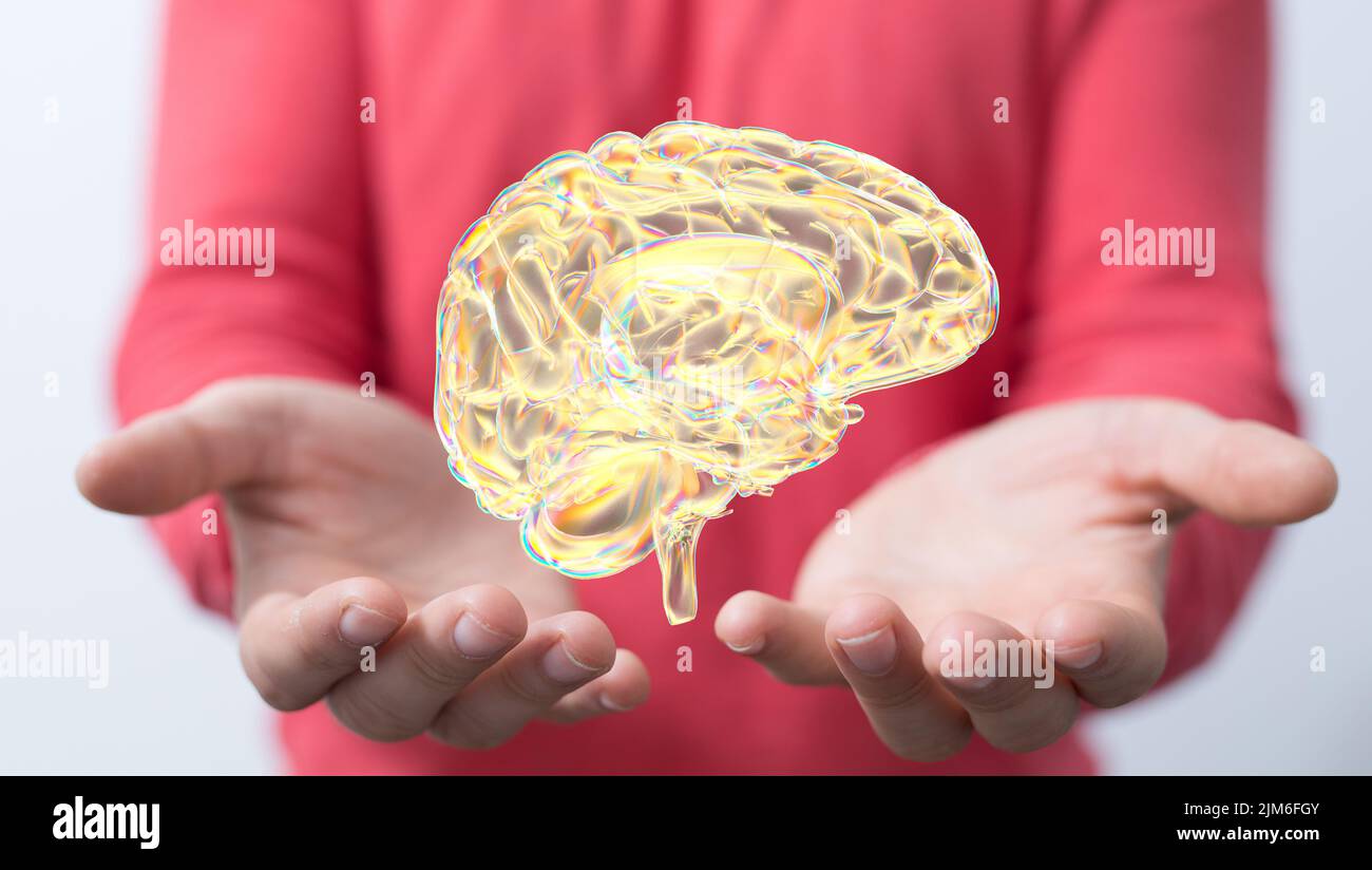 A 3d rendered medically accurate illustration brain Stock Photo - Alamy