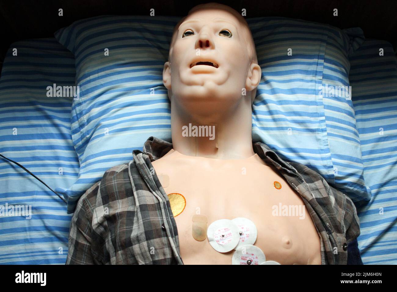 Hal Medical Simulator Odessa national medical university hi-res stock photography and images ...