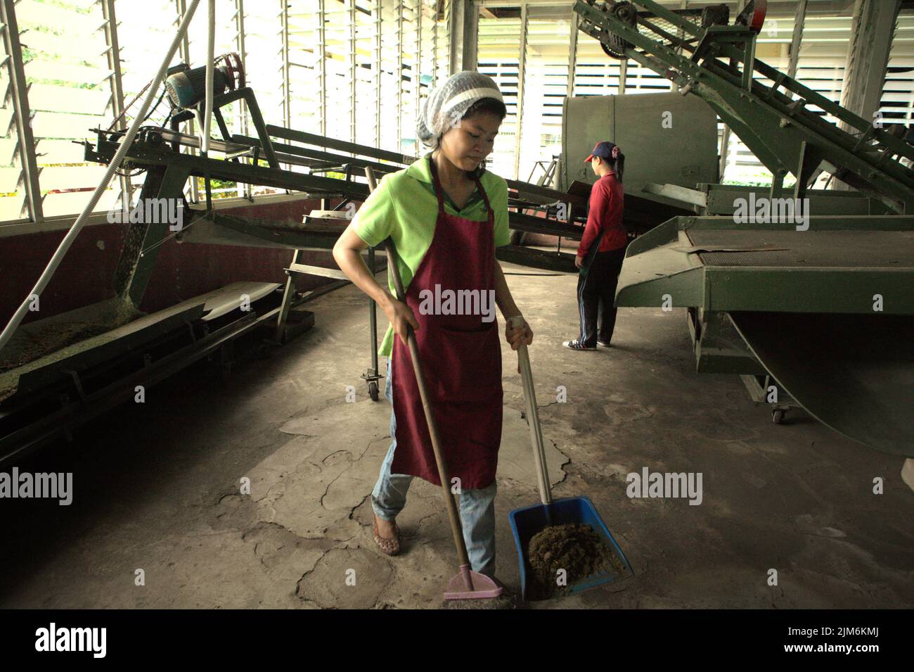 Women working at Sabah tea factory, the processing plant for materials harvested from organic tea farm, a part of Sabah tea garden in Sabah, Malaysia. Stock Photo