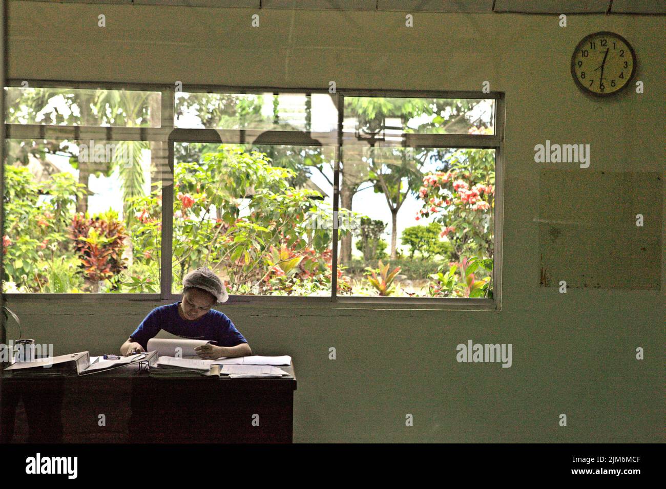 A woman worker is checking documents at Sabah tea factory, the processing plant for materials harvested from organic tea farm, a part of Sabah tea garden in Sabah, Malaysia. Stock Photo