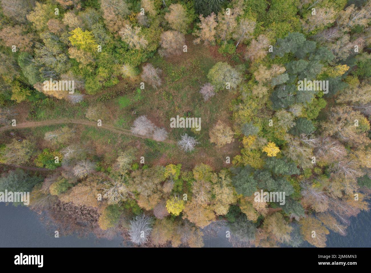 A top down aerial shot of forest in autumn Stock Photo - Alamy