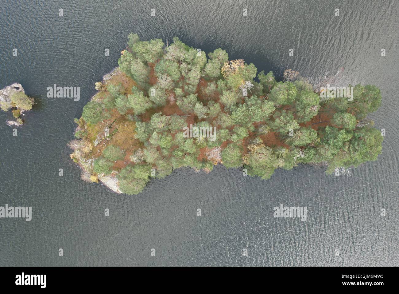 a top view shot of small green island in water Stock Photo - Alamy