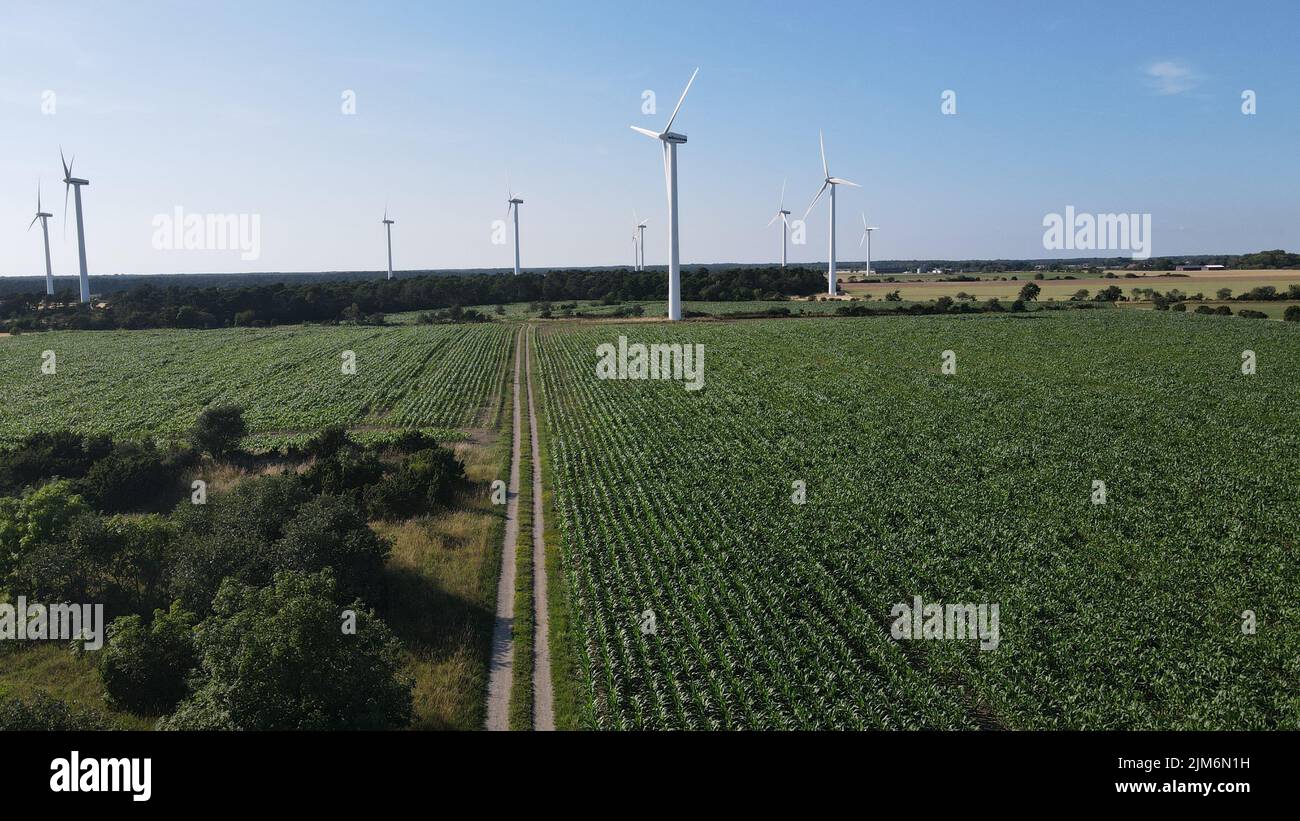 The wind turbines on the green field against the blue sky Stock Photo ...