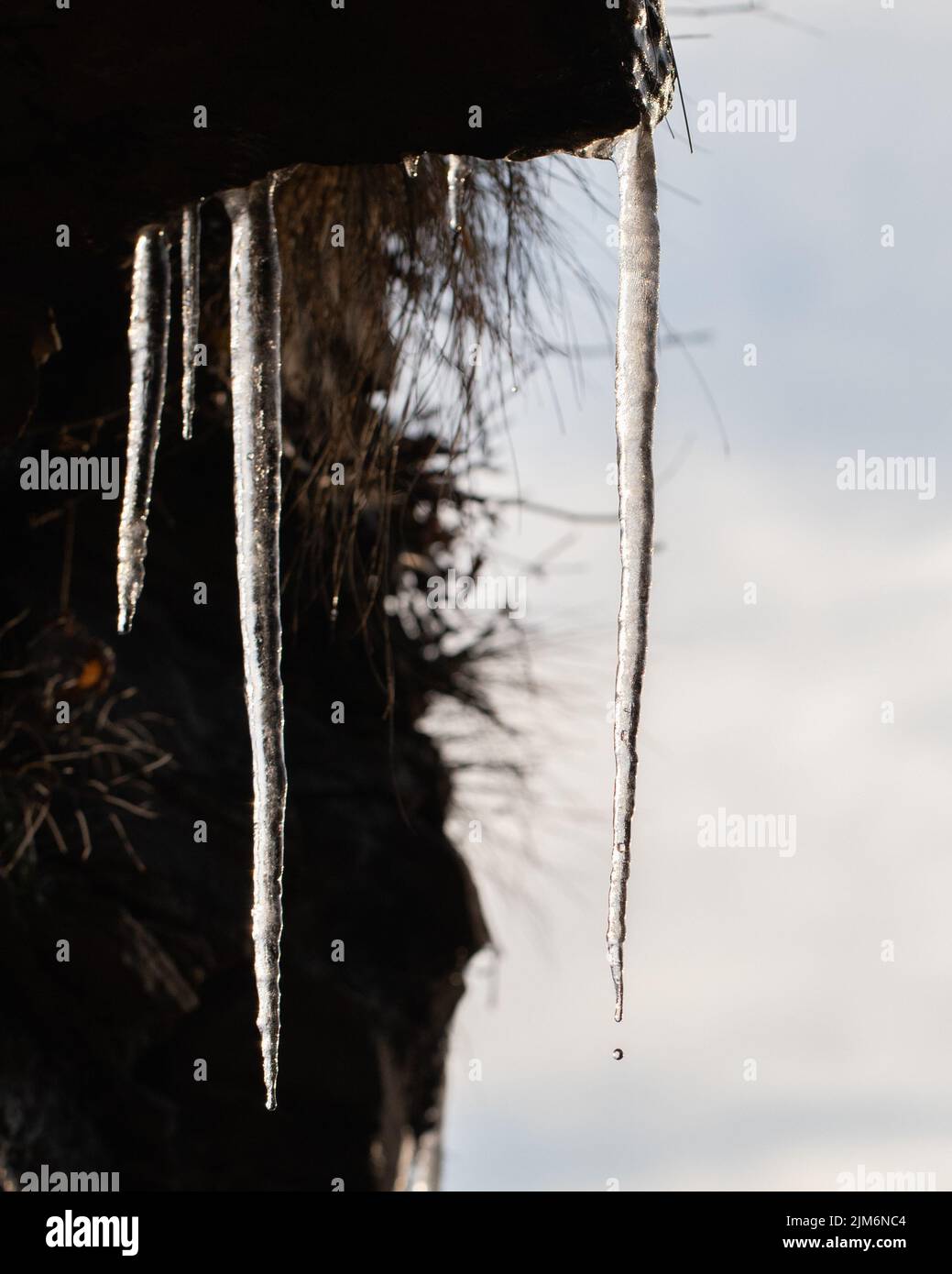 A vertical closeup of icicles Valle di Muggio, Ticino, Switerland Stock Photo