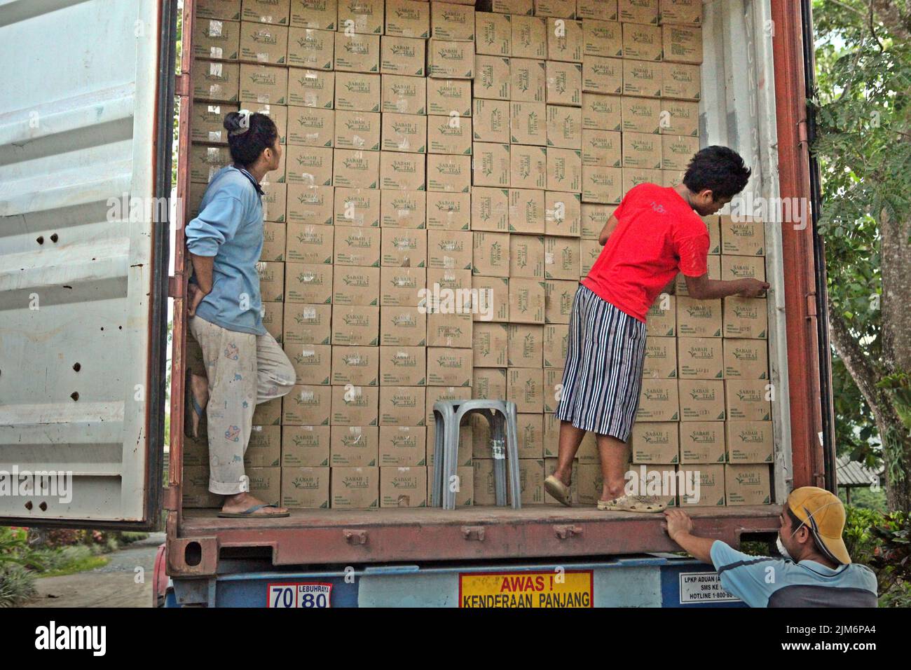 Workers organizing paper boxes containing Sabah Tea for shipment, as ...