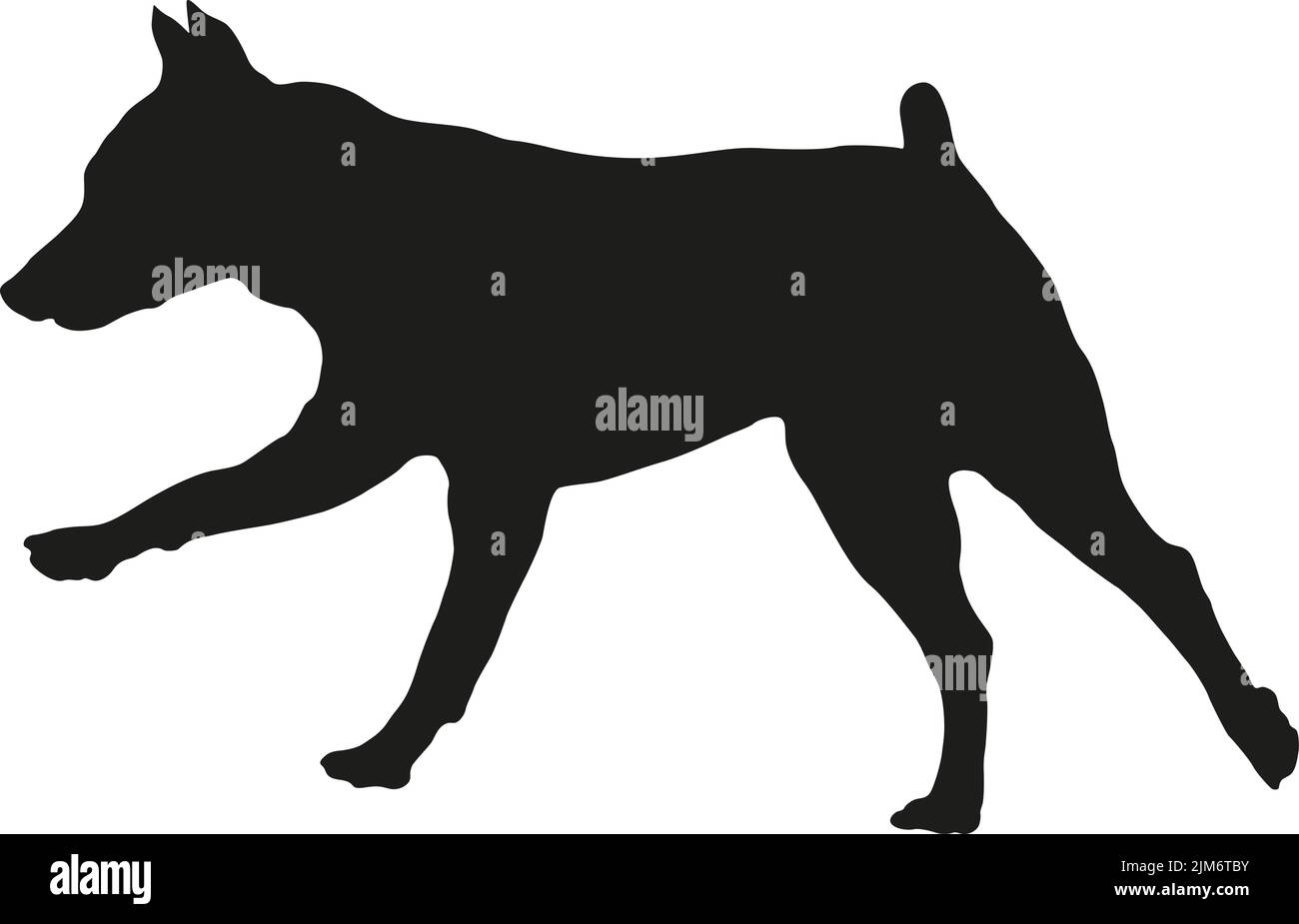 Black dog silhouette. Running and jumping miniature pinscher puppy. Pet animals. Isolated on a white background. Vector illustration. Stock Vector