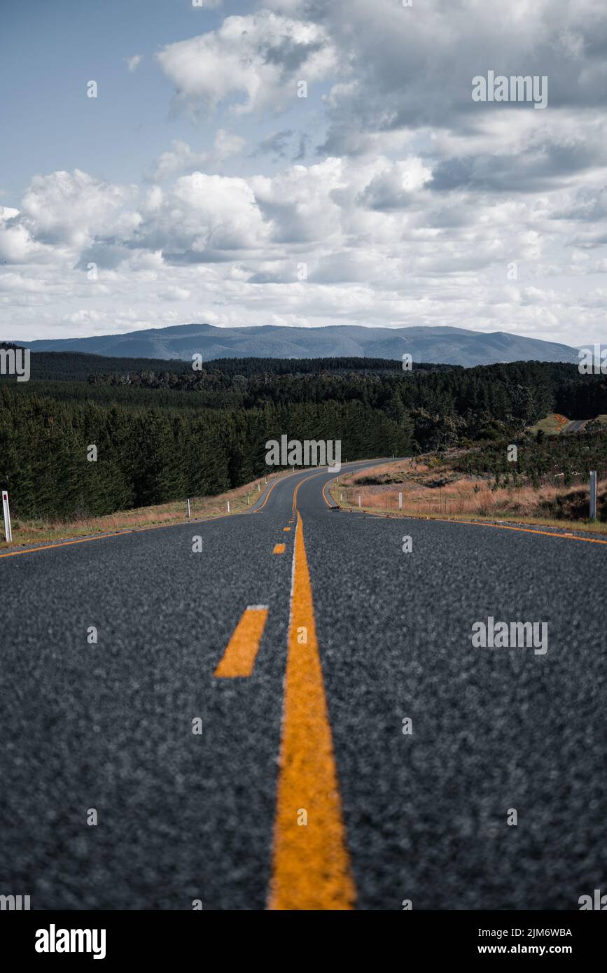Vertical shot road forests hi-res stock photography and images - Alamy