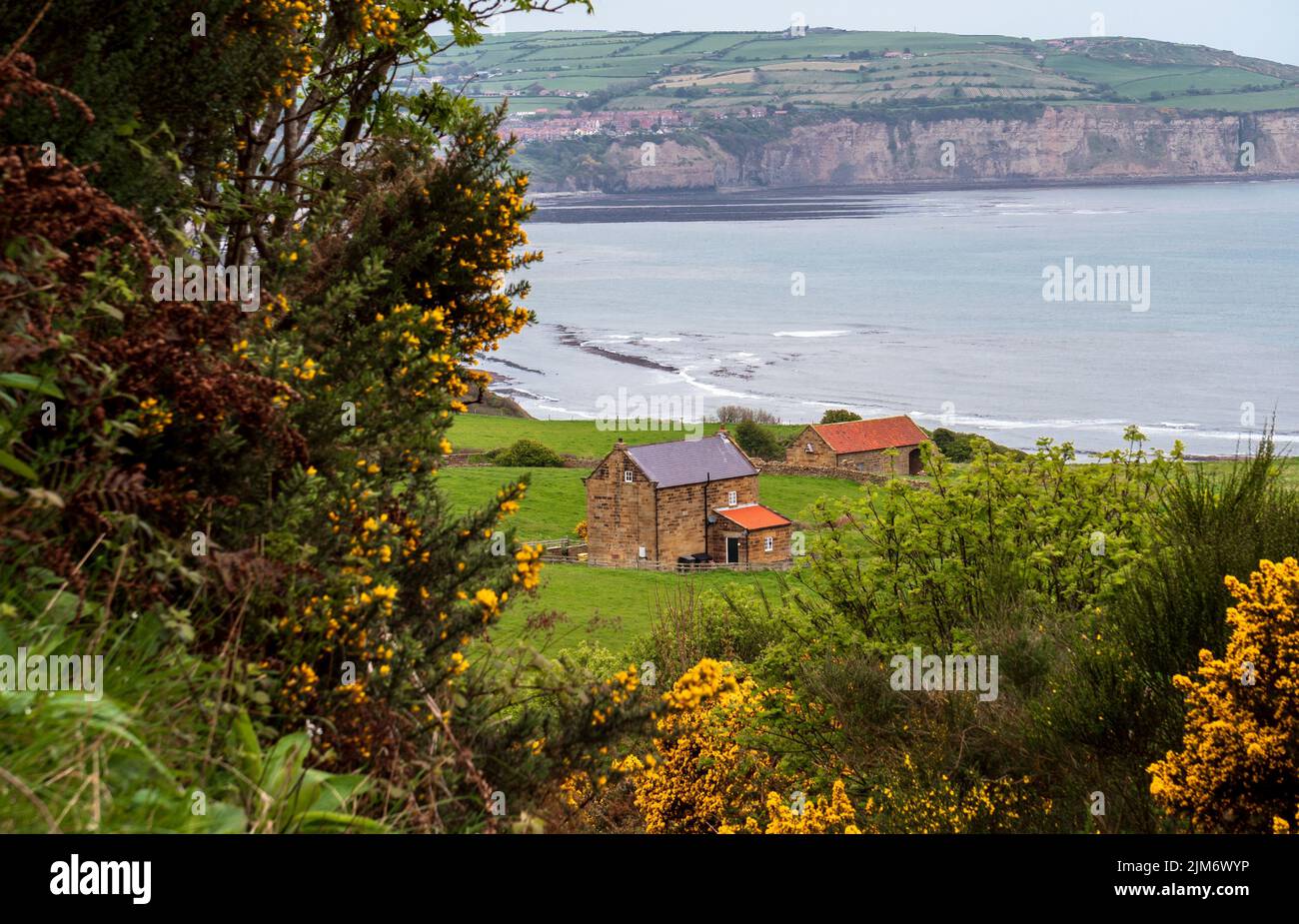 A high angle of houses on green hills at Robin Hood's Bay in Yorkshire
