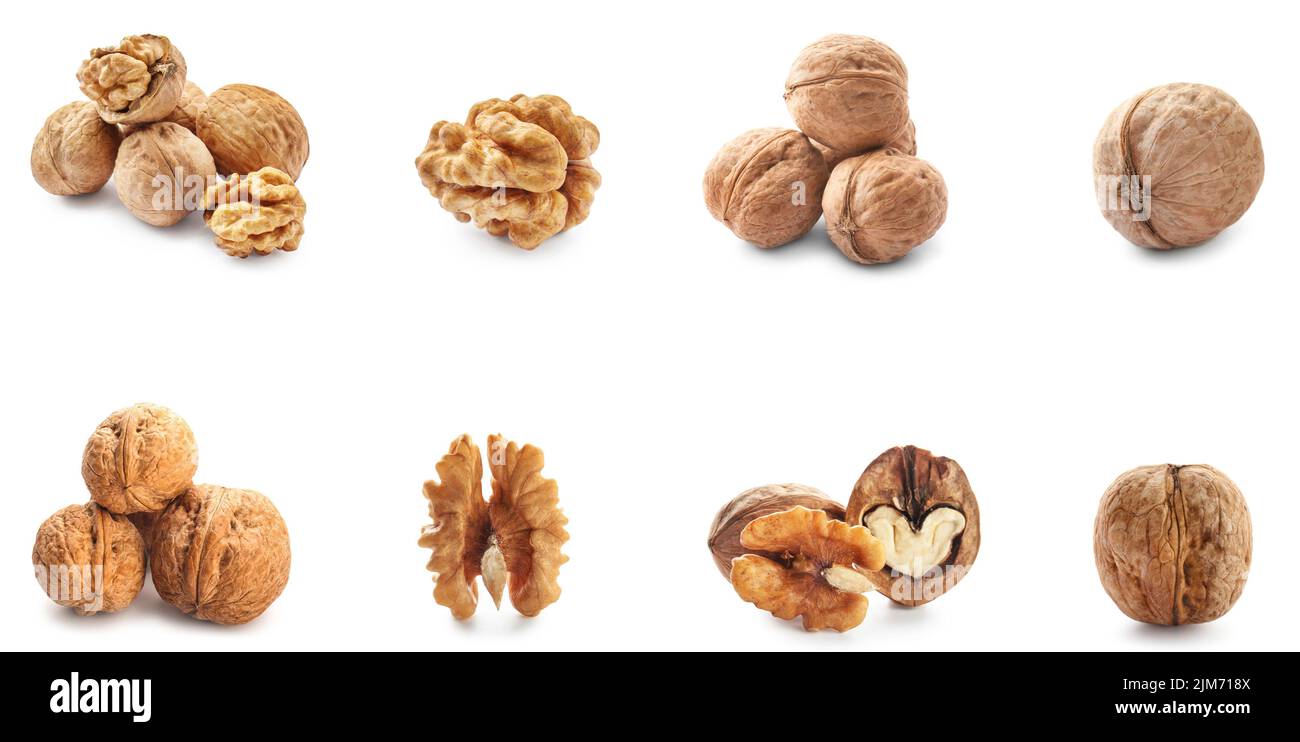 Set of many tasty walnuts isolated on white Stock Photo