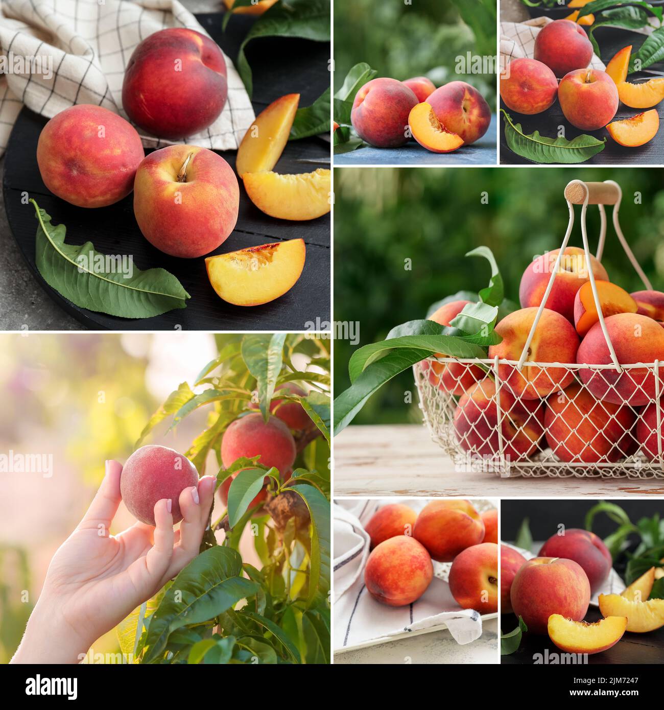 Collage with sweet ripe peaches Stock Photo - Alamy