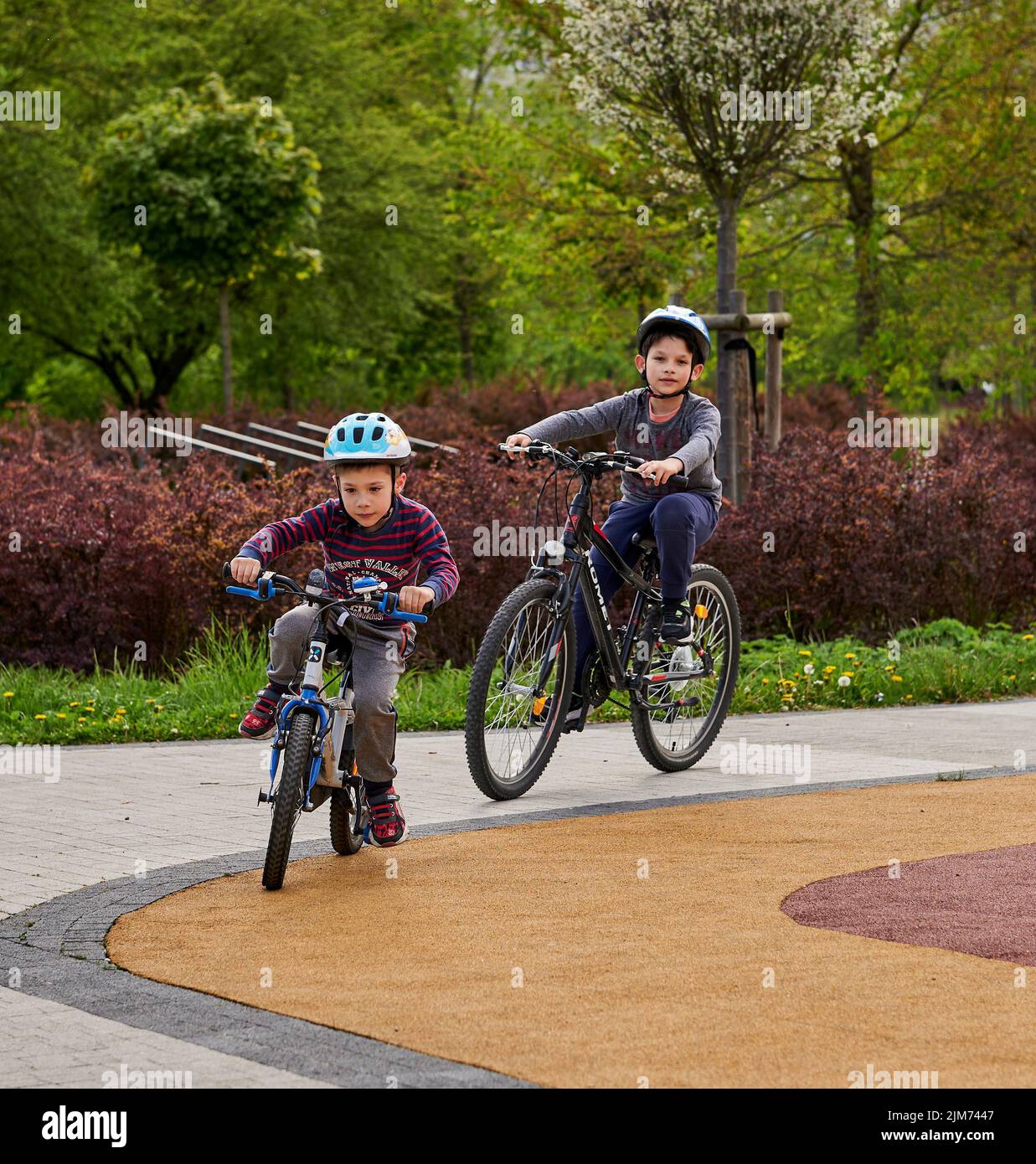 A vertical shot of two young boys with helmets riding a bicycle on the