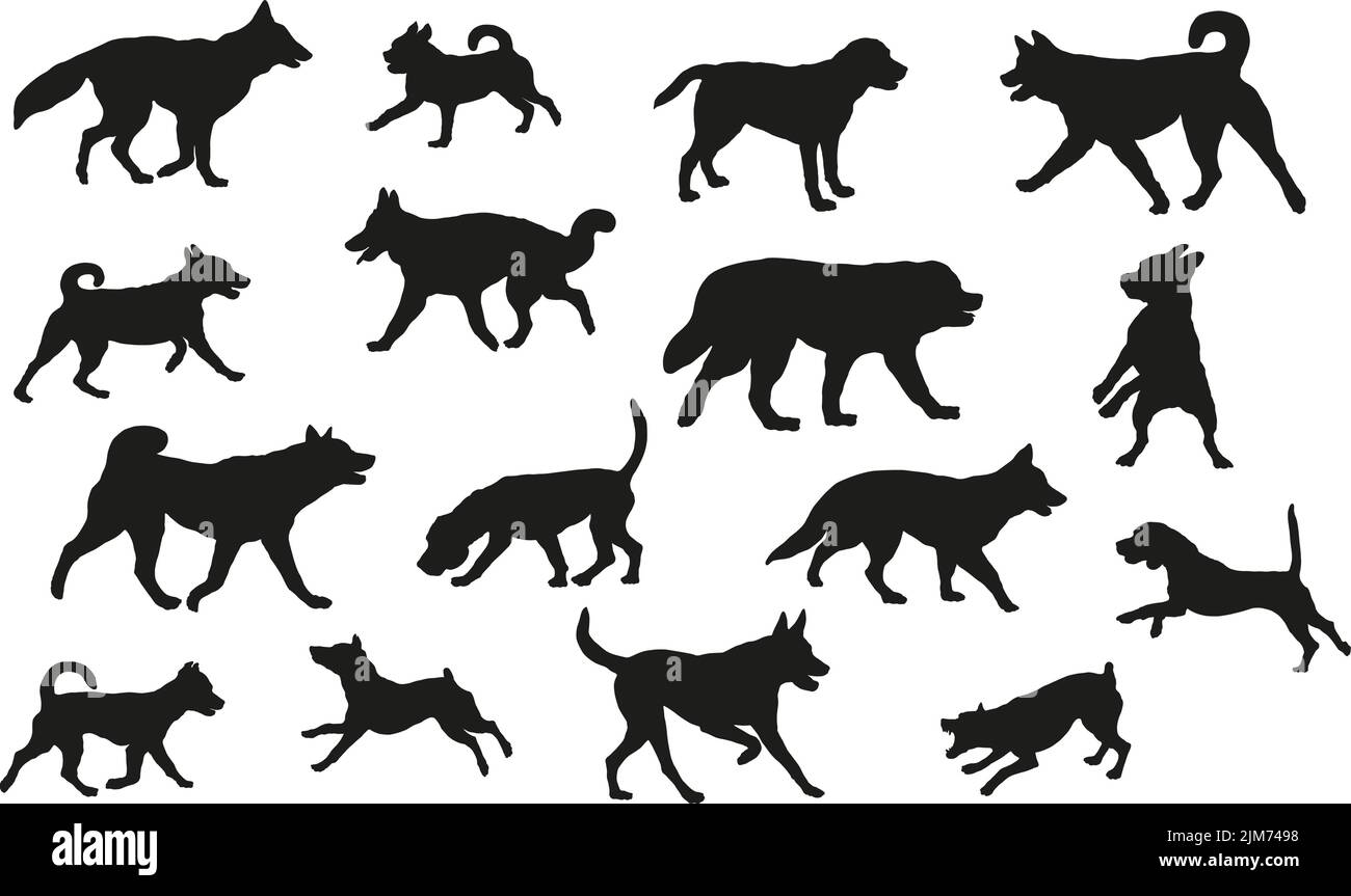 Group of dogs various breed. Black dog silhouette. Running, standing, walking, jumping dogs. Isolated on a white background. Pet animals. Vector. Stock Vector