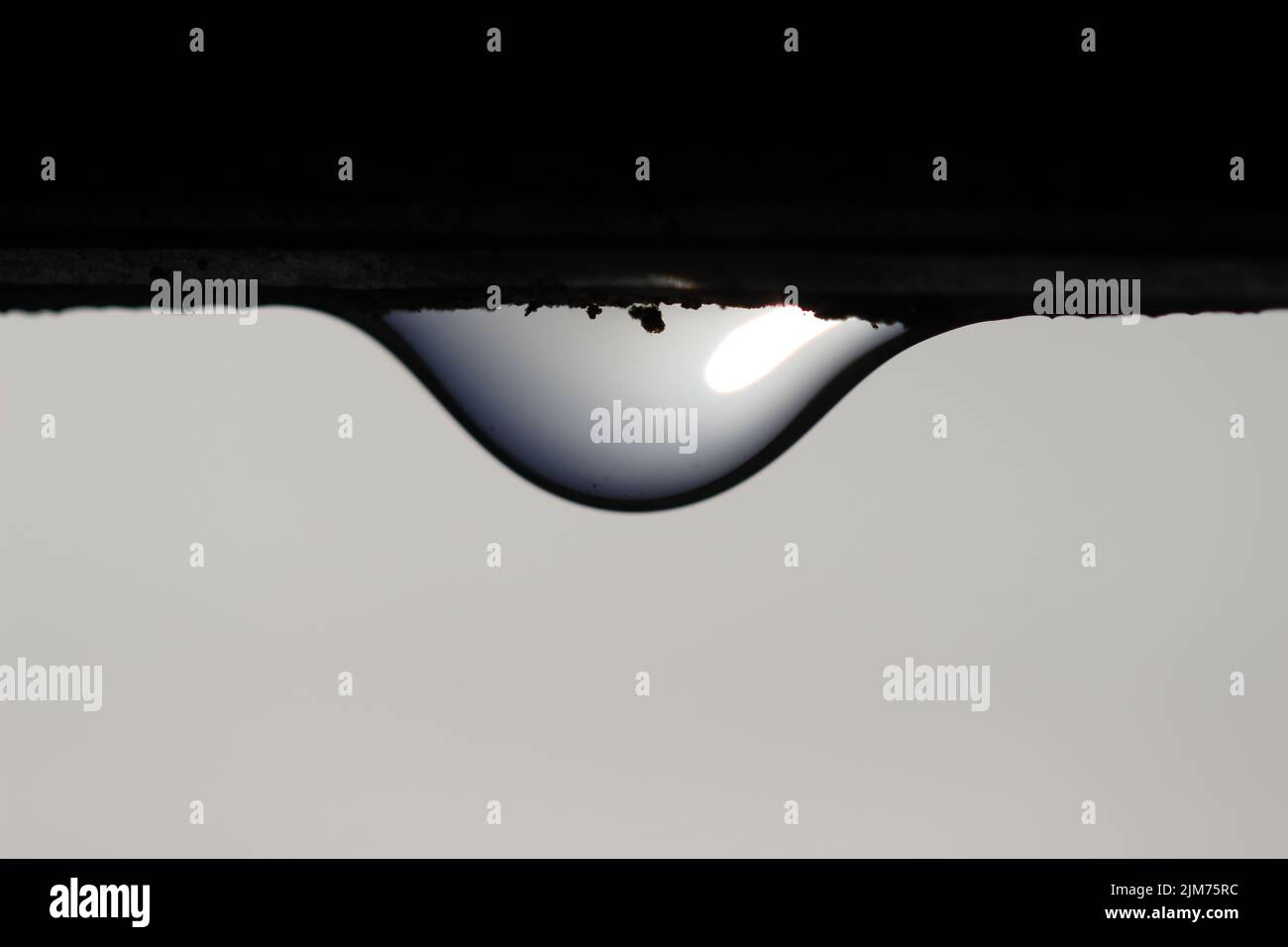 A macro shot of a water drop falling down from a black surface with ...