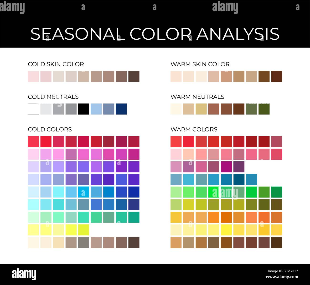 Seasonal Color Analysis Palette with Cold and Warm Color Swatches, Neutrals, Skin Shades Stock Vector