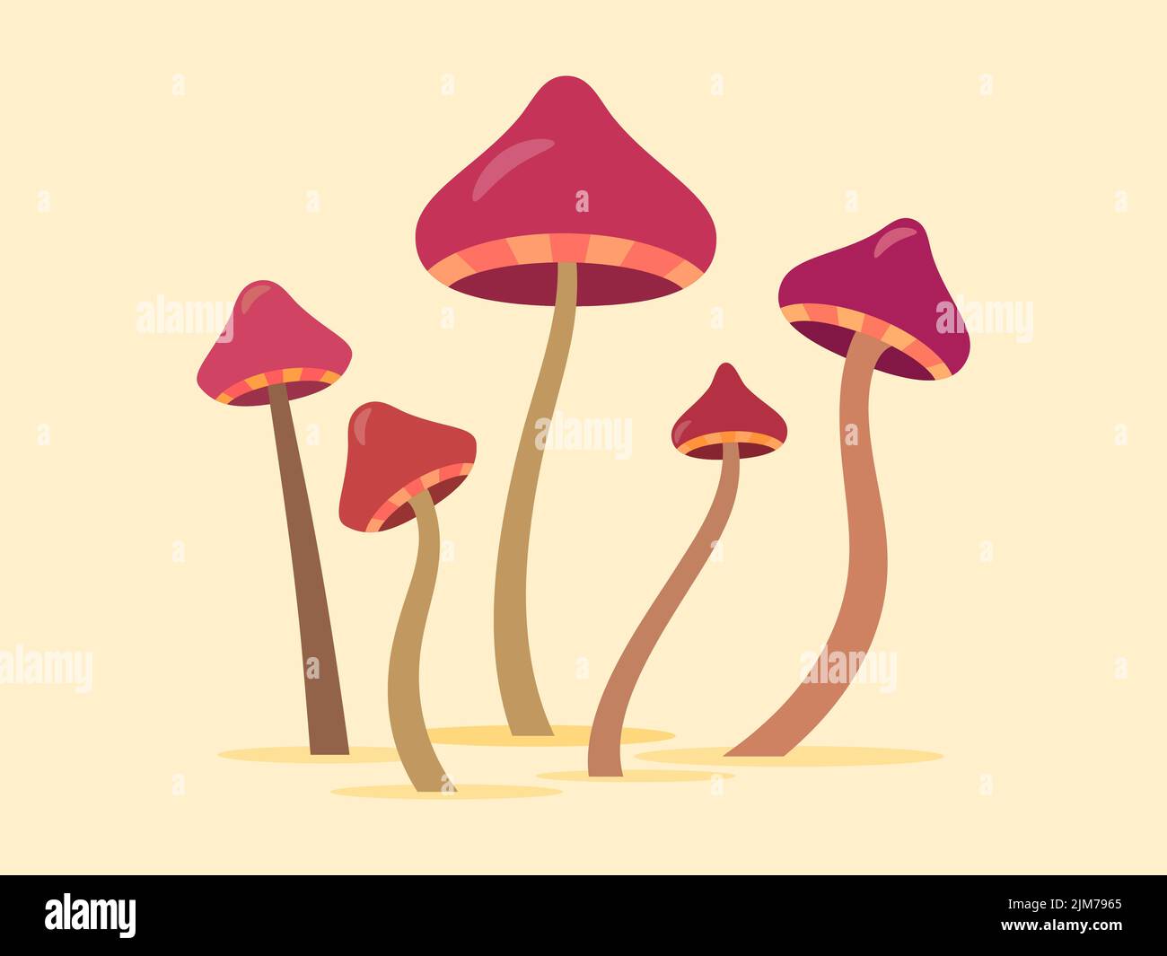 Hallucinogenic mushrooms. Toadstool mushrooms with red caps. Acid trip