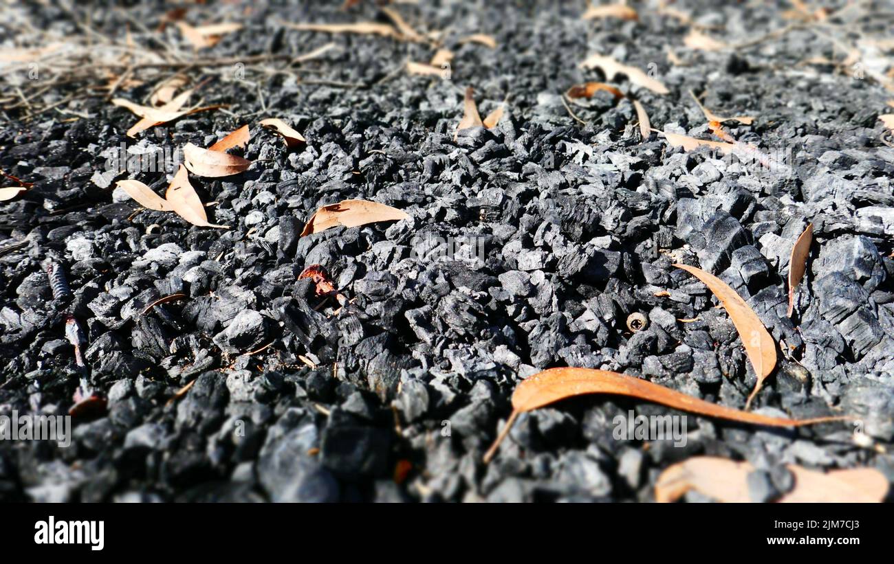 Charcoal floor of a burnt region in south west Australia Stock Photo
