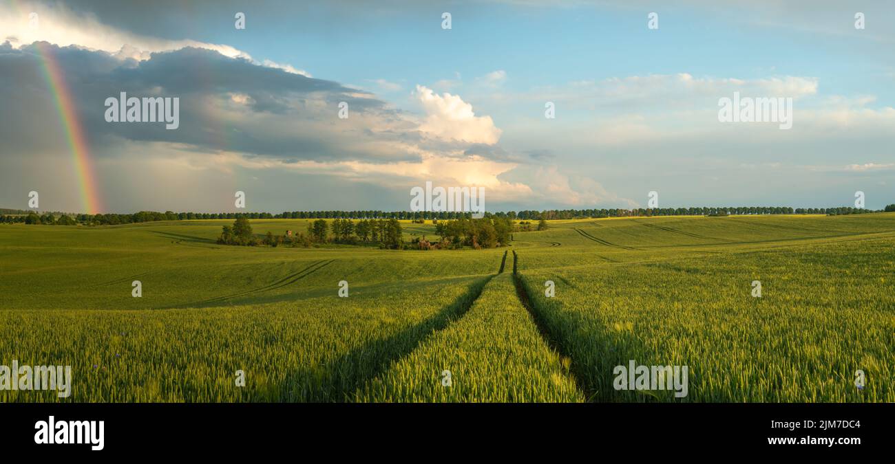 Fields and rainbow in the sky Stock Photo