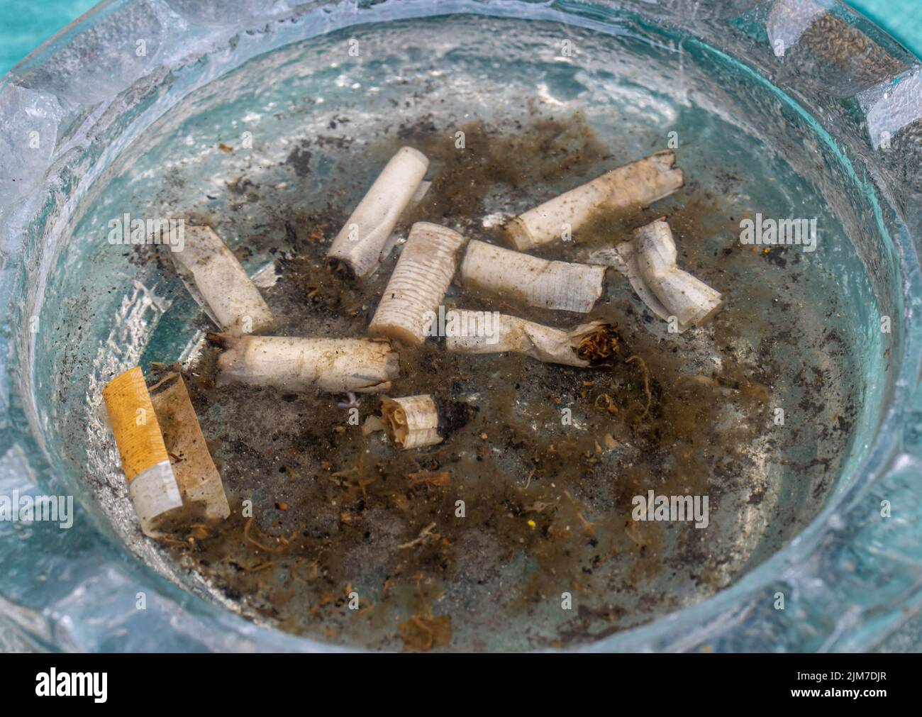 cigarettes in water Cigarette butts water hi-res stock photography and images