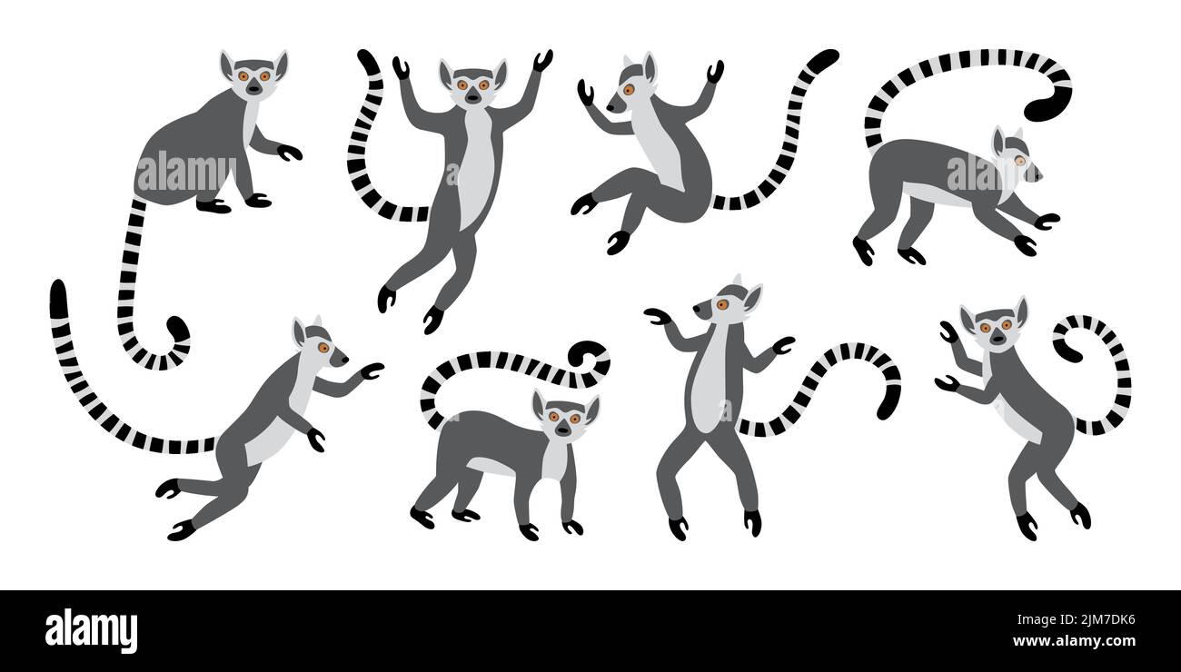 Cute funny ring-tailed lemurs. Exotic Lemur catta. Set of vector illustrations in cartoon and flat style Stock Vector