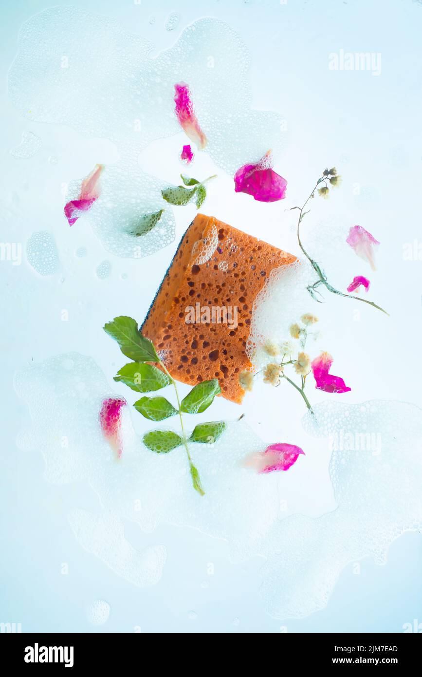 Delicate dishwashing, sponges in foam, transparent background, floral decor Stock Photo
