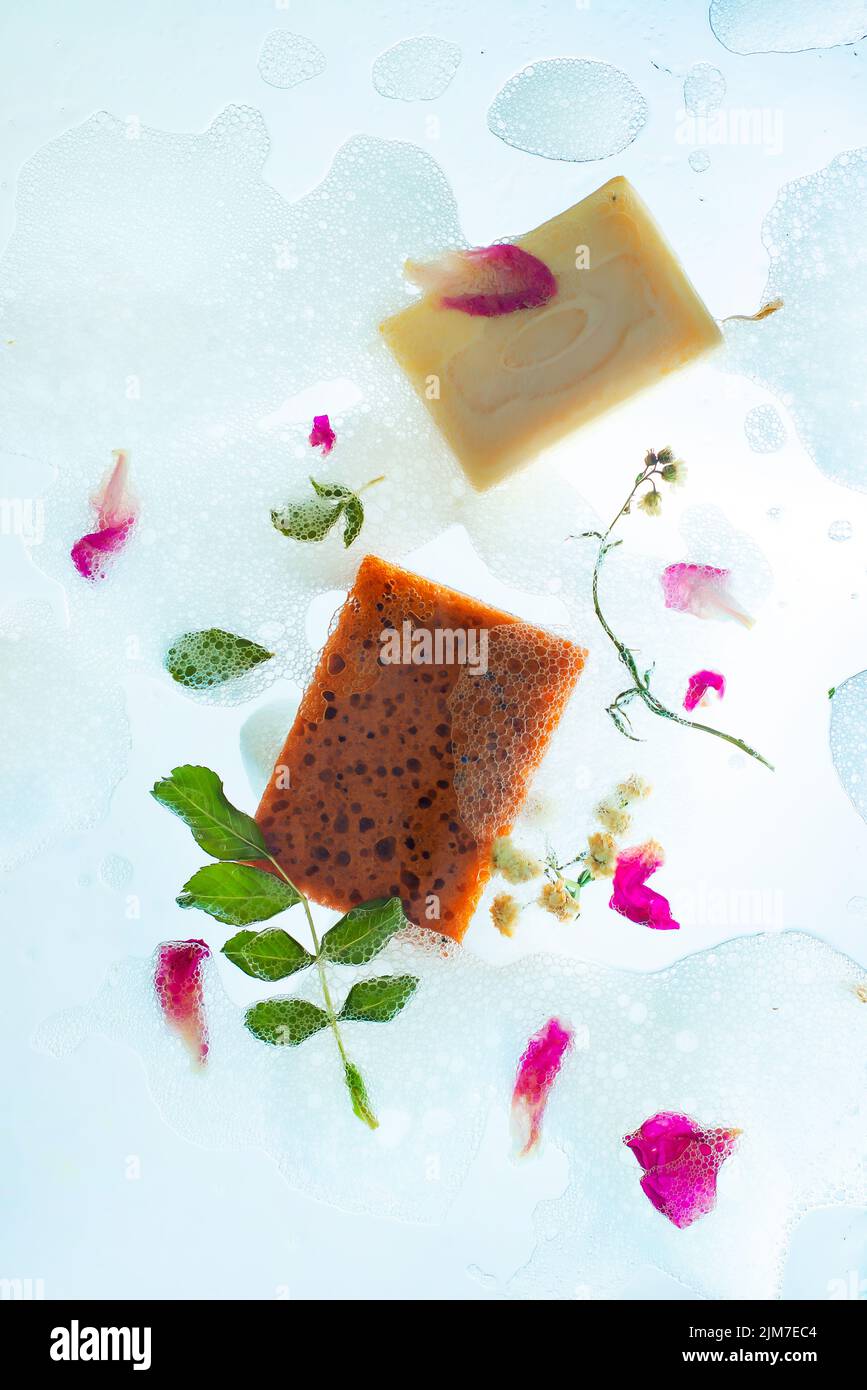 Soap and sponges in foam, delicate dishwashing, floral decor, backlight Stock Photo