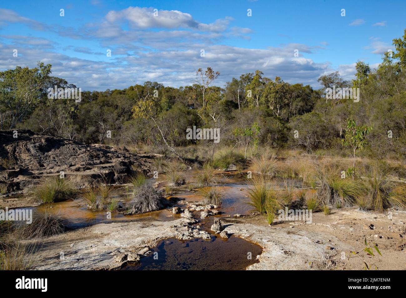 Talaroo Hot Springs produce water at around 60°C seeping into pools before discharging to the Einasleigh River system in tropical Queensland. Stock Photo