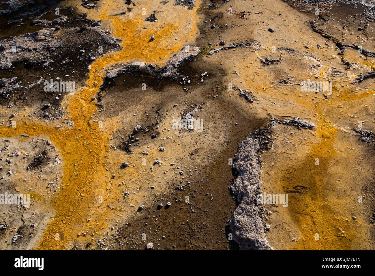 Talaroo Hot Springs produce water at around 60°C seeping into pools before discharging to the Einasleigh River system in tropical Queensland. Stock Photo