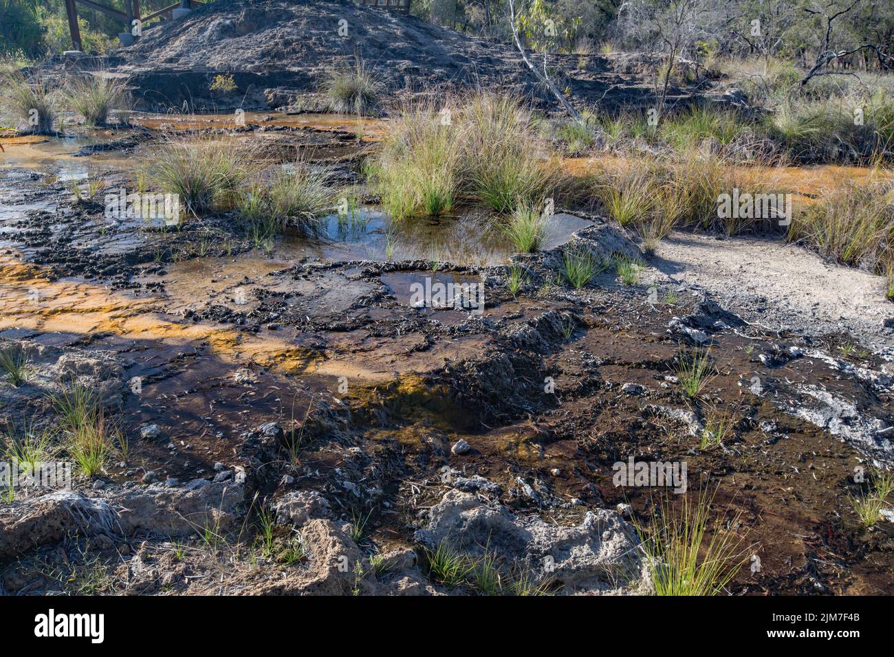 Talaroo Hot Springs produce water at around 60°C seeping into pools before discharging to the Einasleigh River system in tropical Queensland. Stock Photo