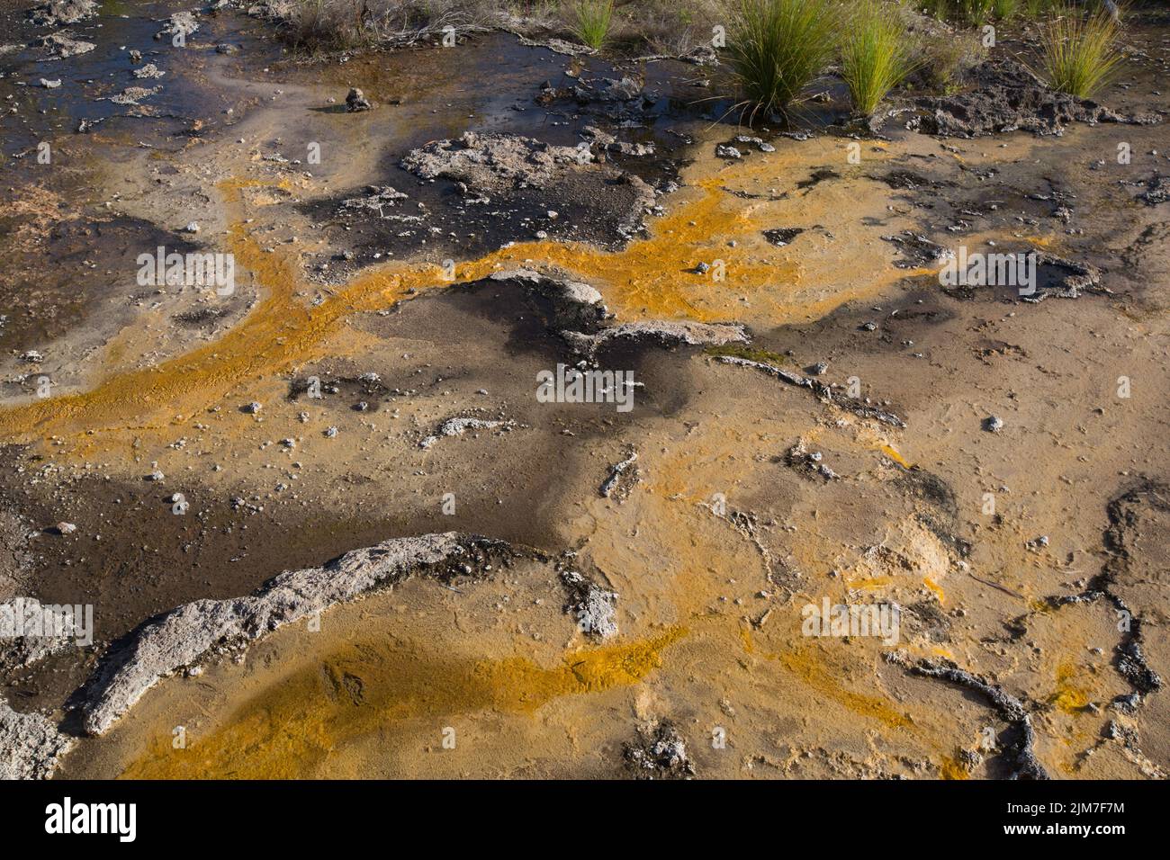 Talaroo Hot Springs produce water at around 60°C seeping into pools before discharging to the Einasleigh River system in tropical Queensland. Stock Photo